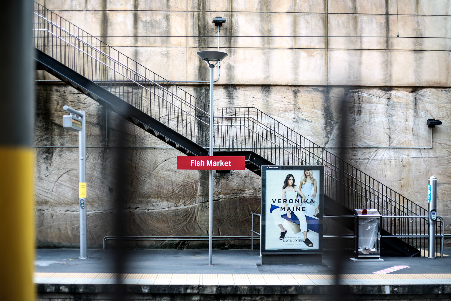 Sydney Fish Markets, Wednesday September 30, 2015 (Marilia Oliva)