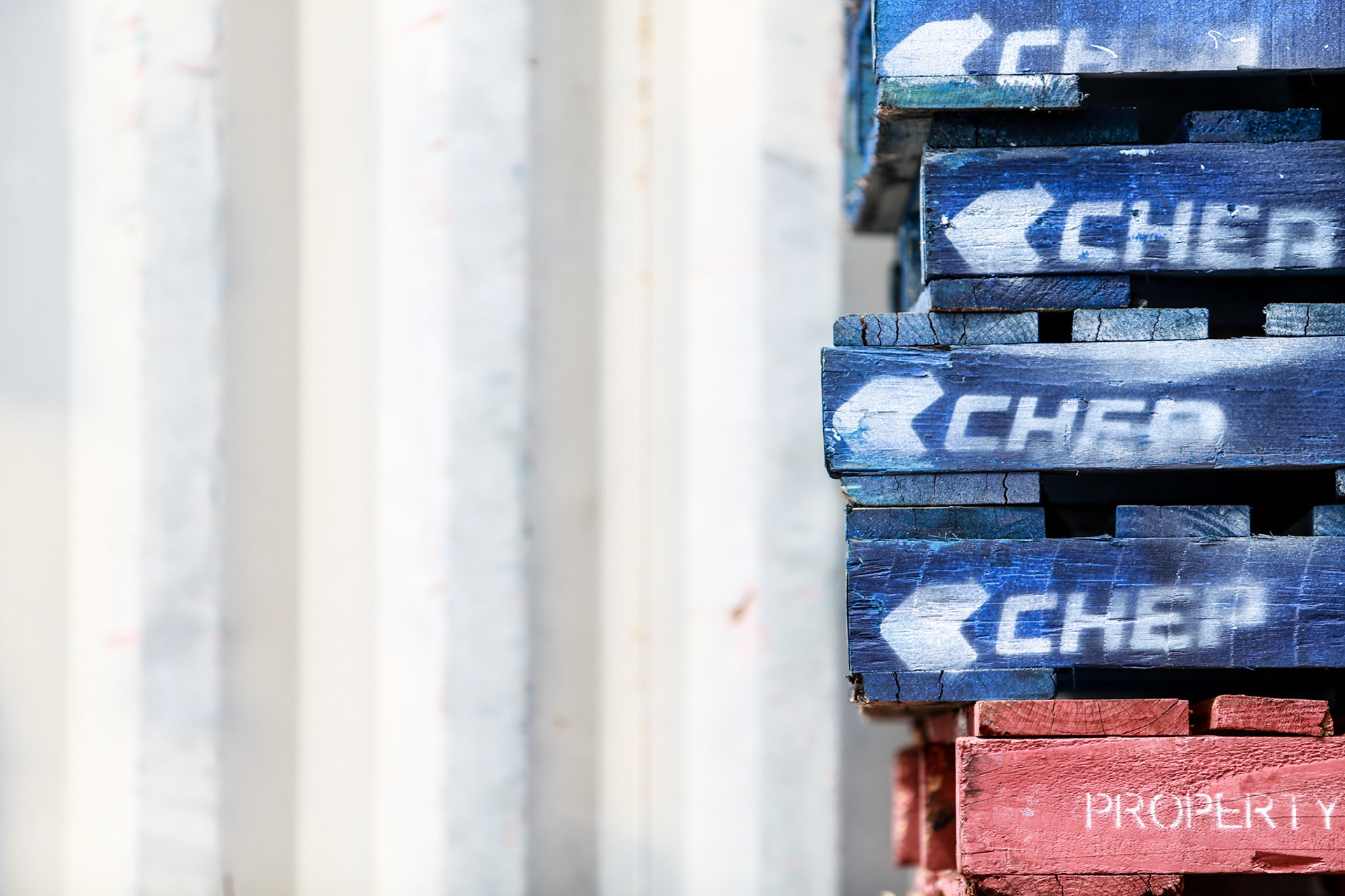 Sydney Fish Markets, Wednesday September 30, 2015 (Marilia Oliva)