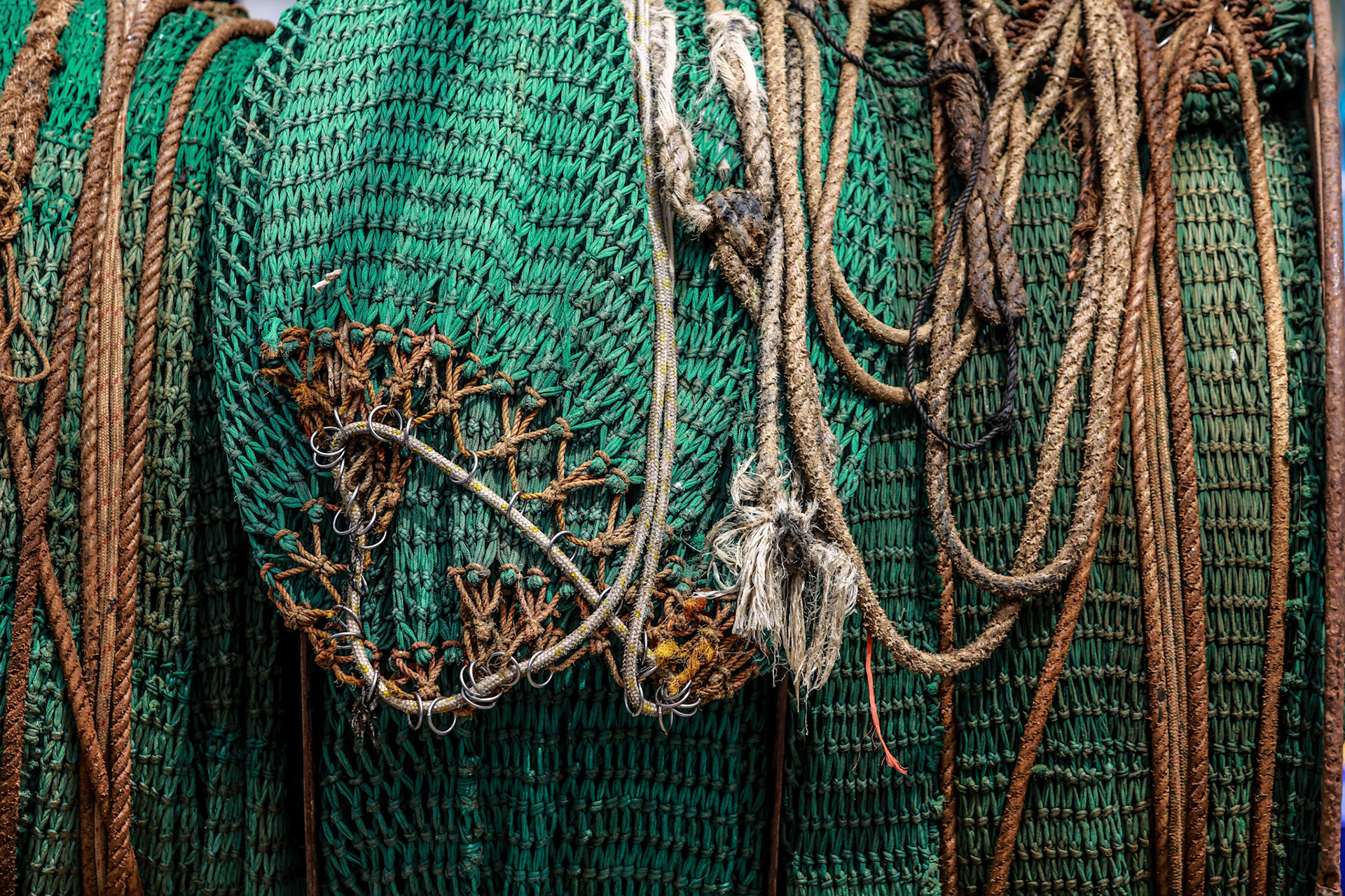 Sydney Fish Markets, Wednesday September 30, 2015 (Marilia Oliva)