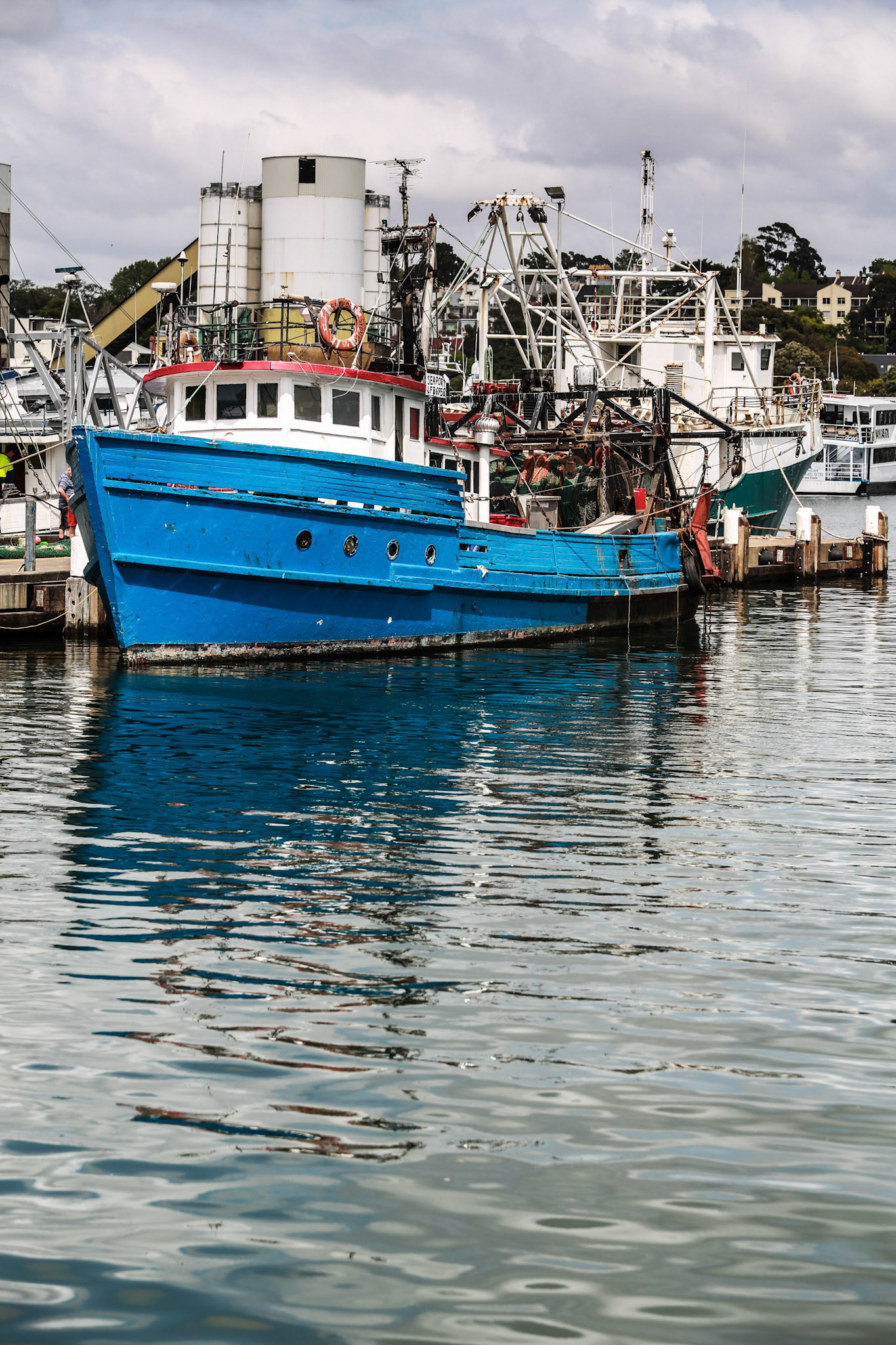 Sydney Fish Markets, Wednesday September 30, 2015 (Marilia Oliva)