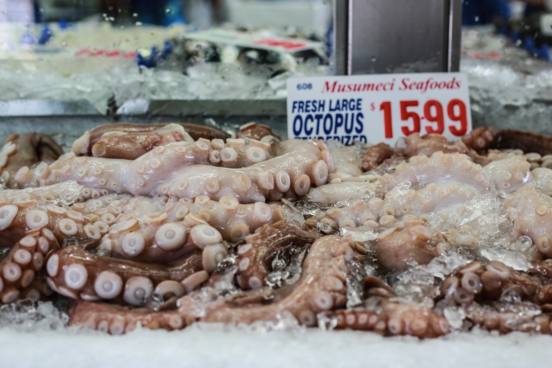 Sydney Fish Markets, Wednesday September 30, 2015 (Marilia Oliva)