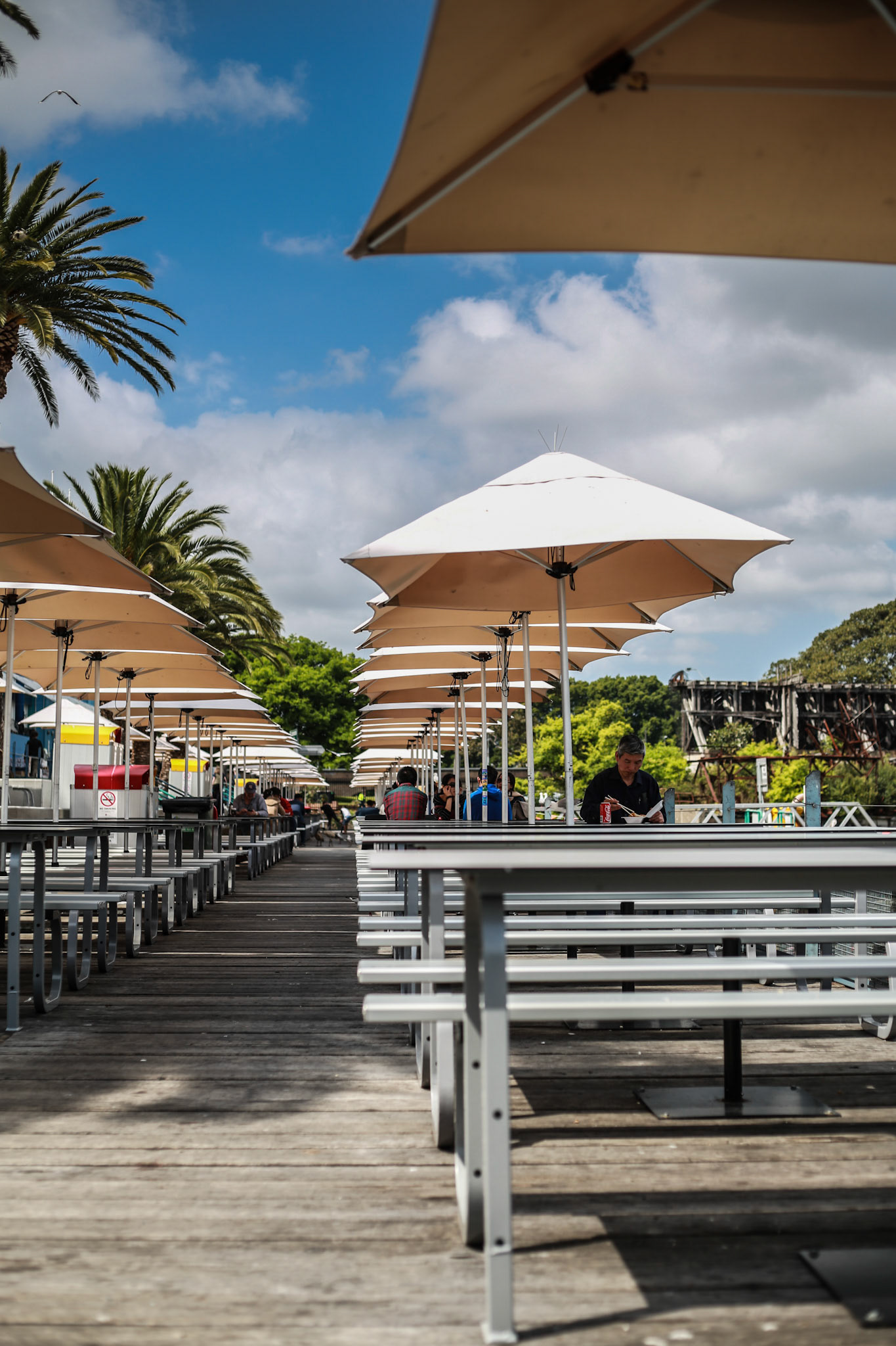 Sydney Fish Markets, Wednesday September 30, 2015 (Marilia Oliva)
