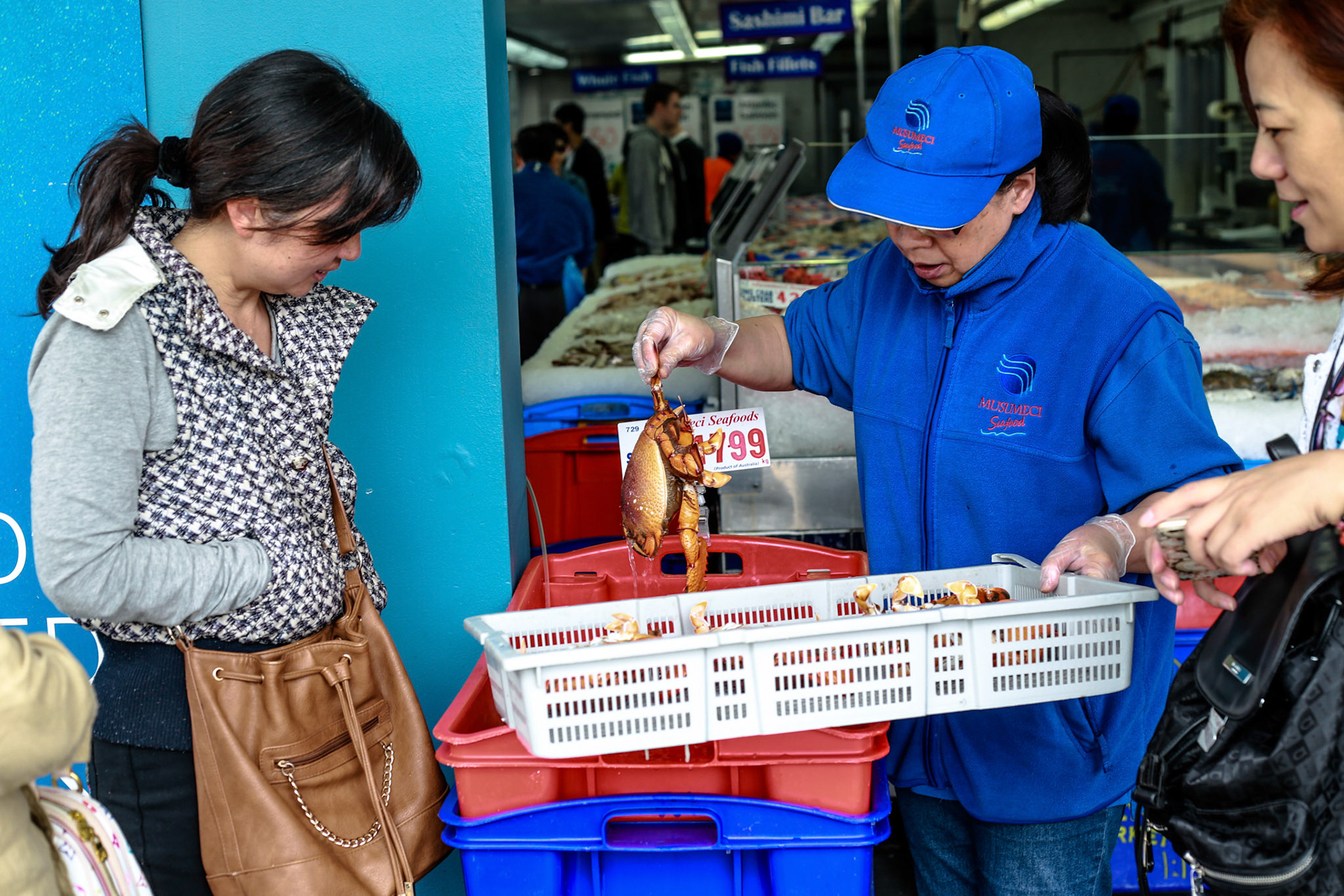Sydney Fish Markets, Wednesday September 30, 2015 (Marilia Oliva)