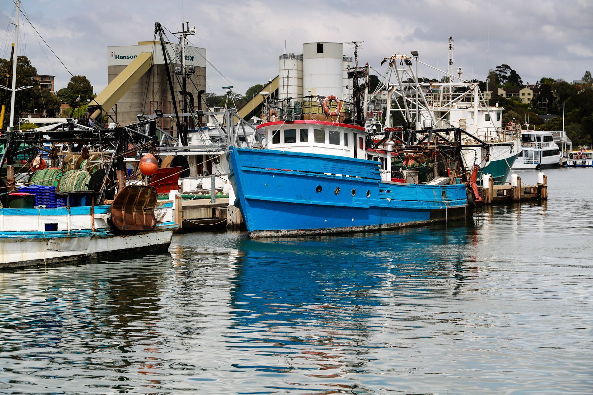 Sydney Fish Markets, Wednesday September 30, 2015 (Marilia Oliva)
