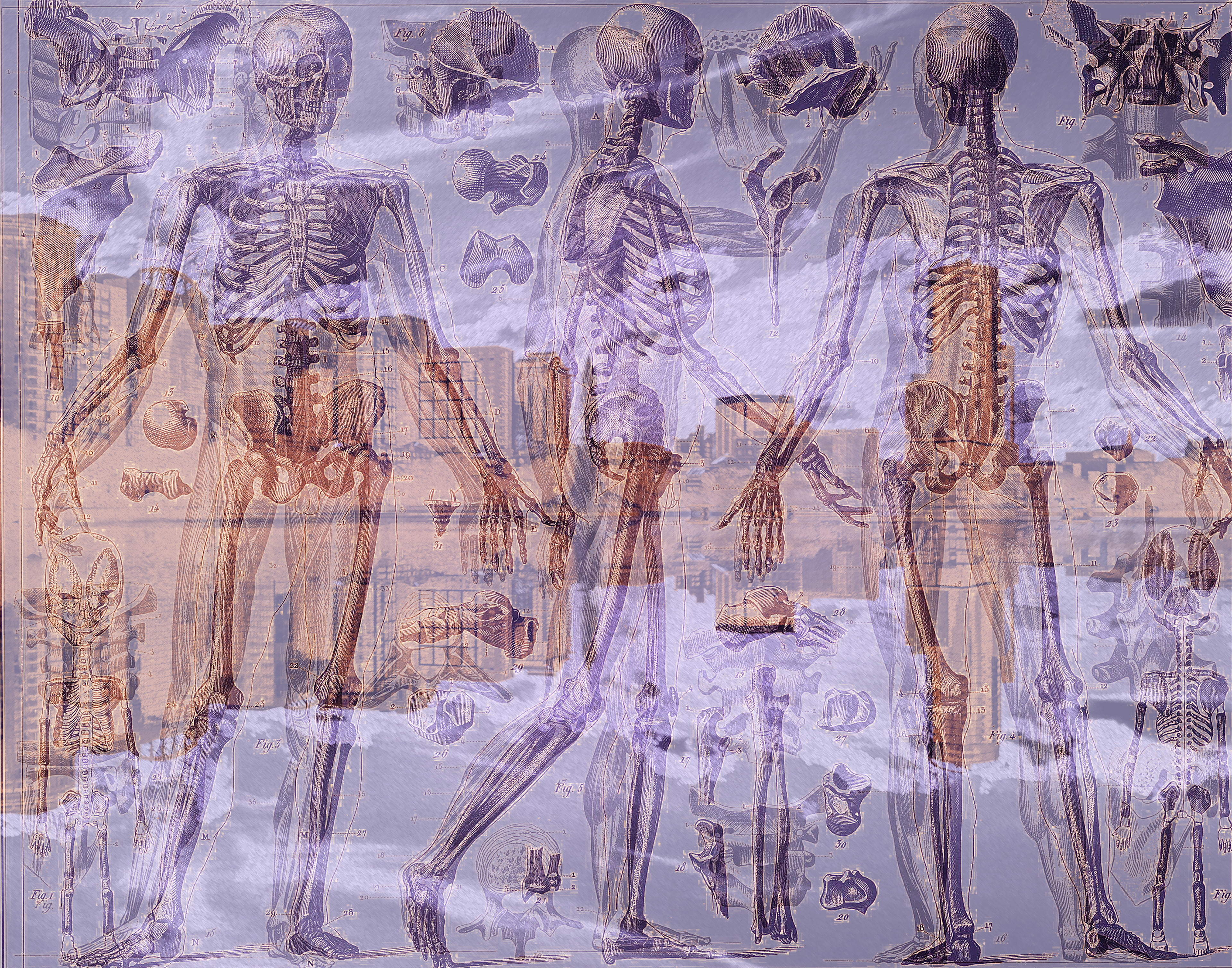digital photomontage