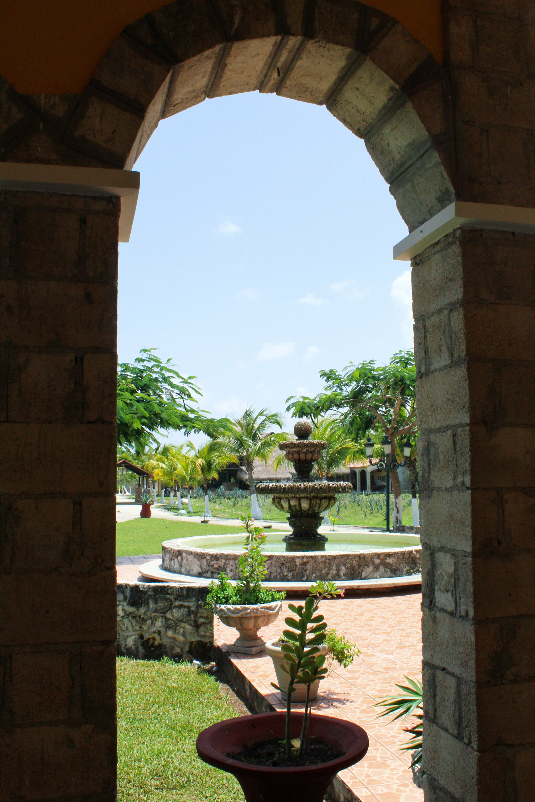 Agave Farm, Cozumel, Mexico