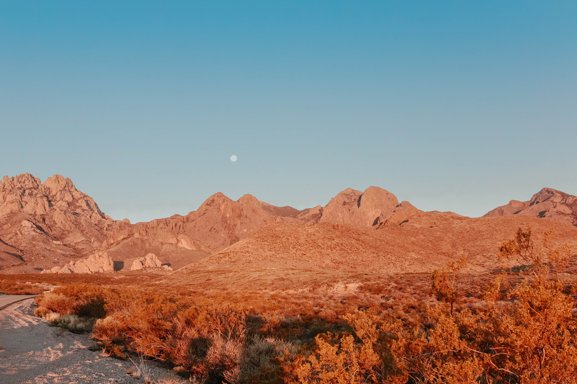 #4 - Organ Mountains