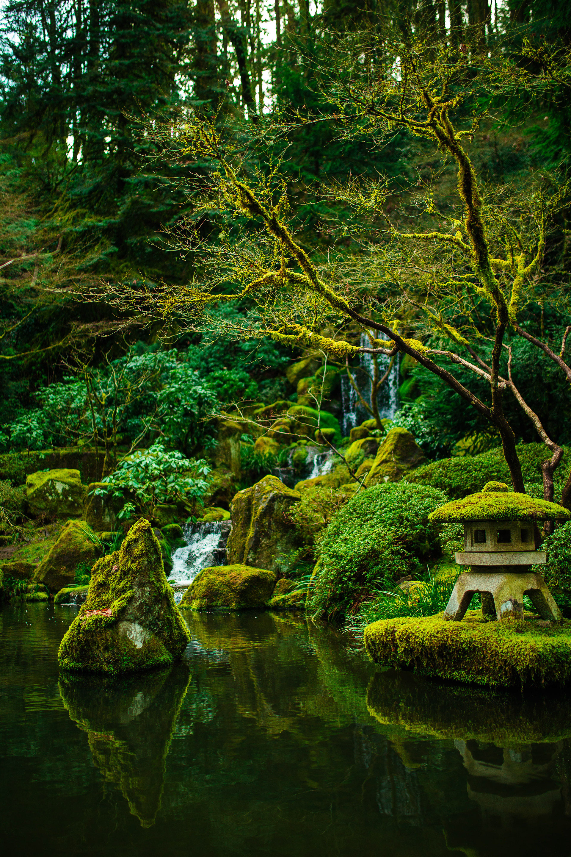 #5 - 50 Shades of Green