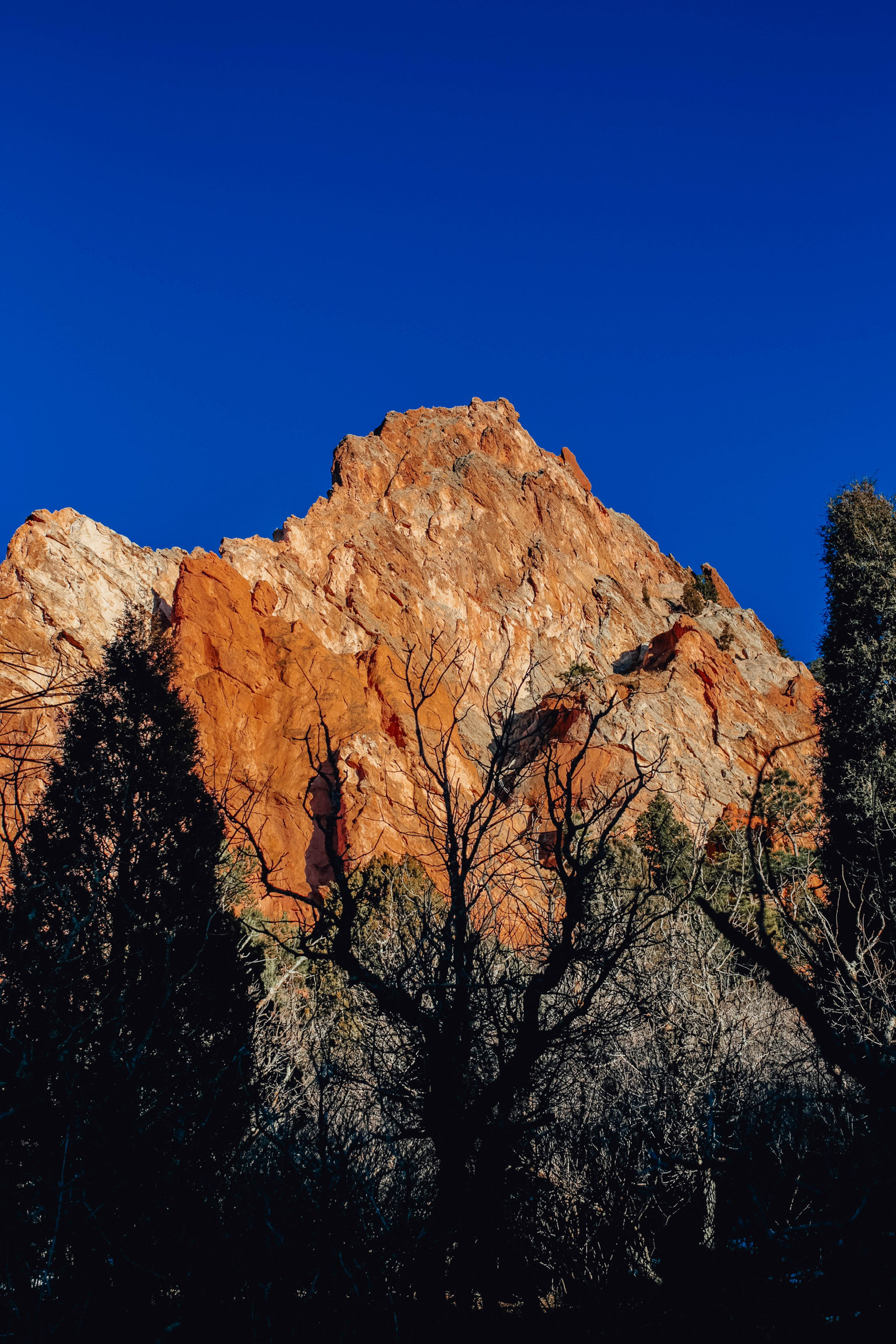 #7 - Colorado Blues