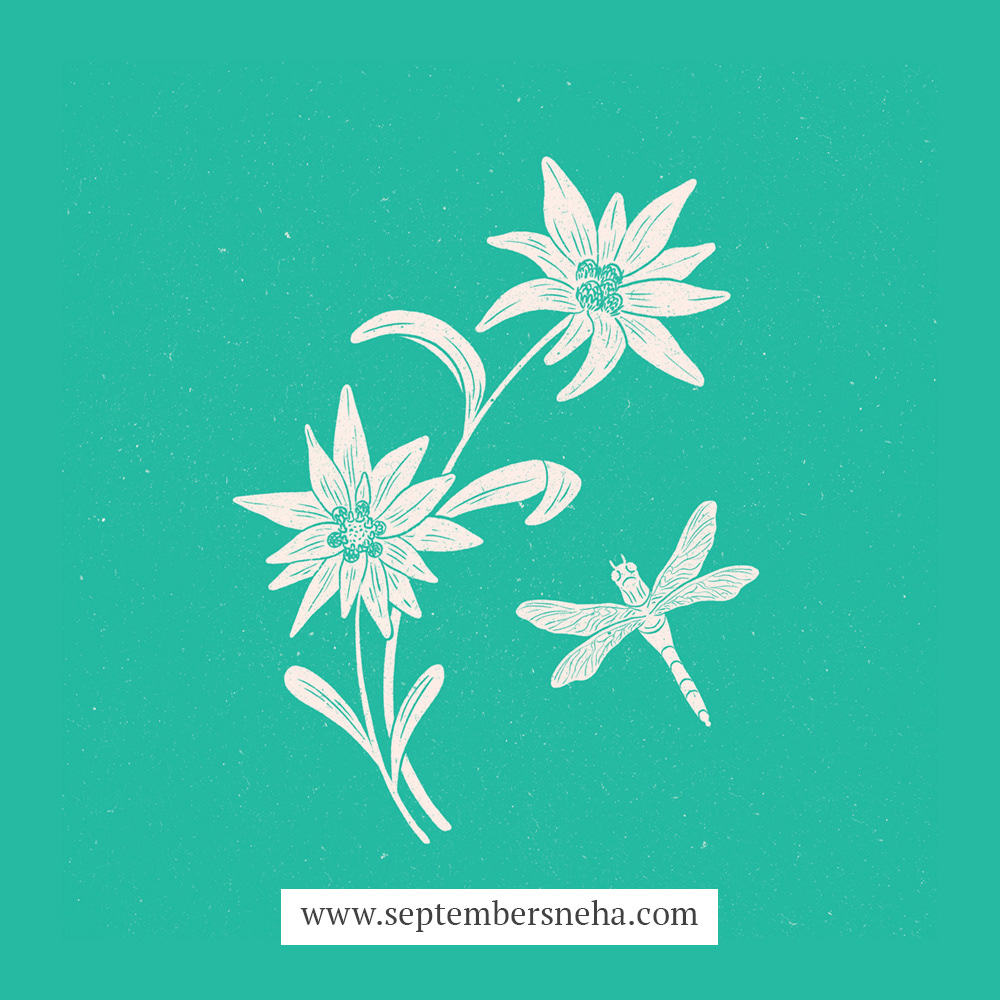 Edelweiss & Dragonfly Art