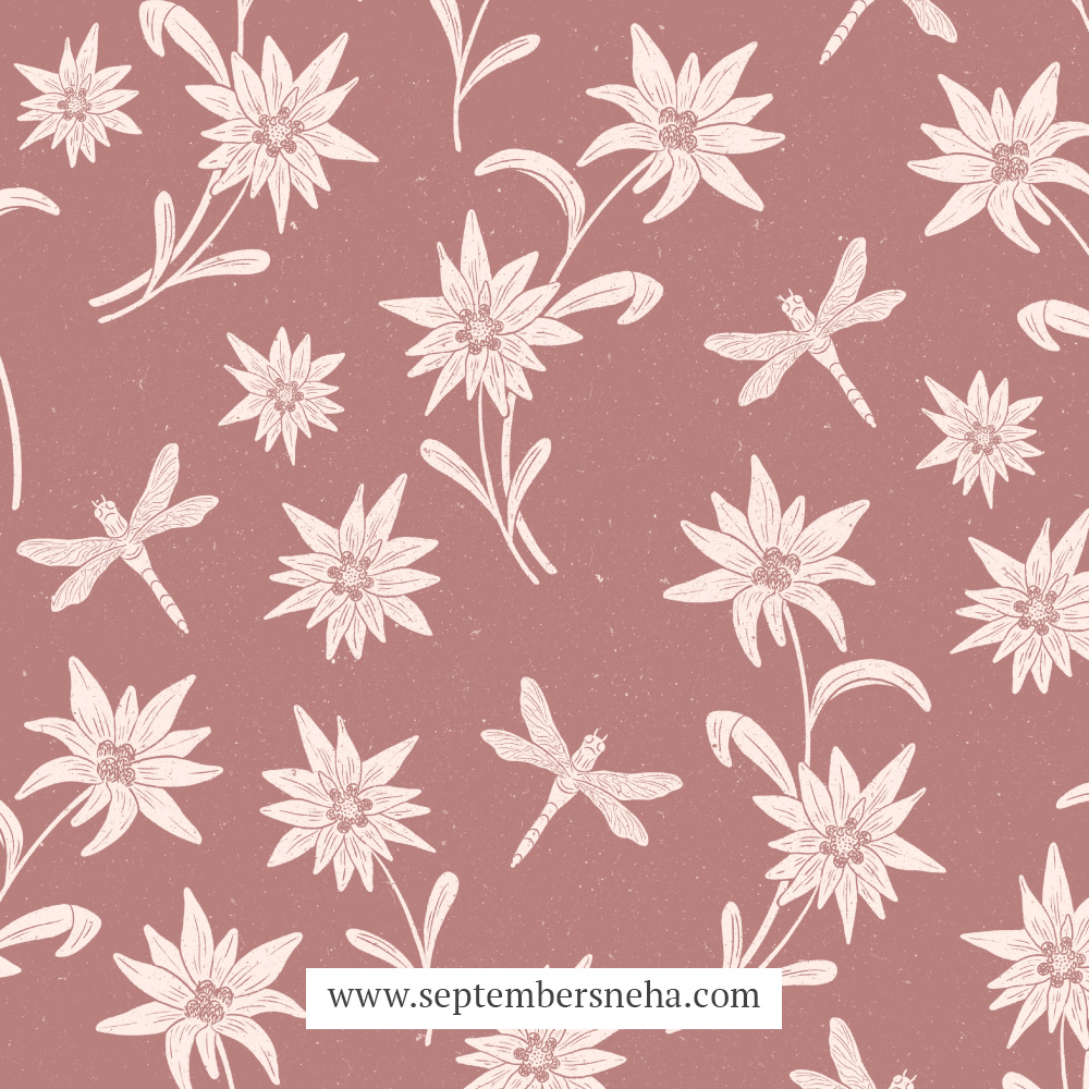 Edelweiss & Dragonfly Hero Colour Variant
