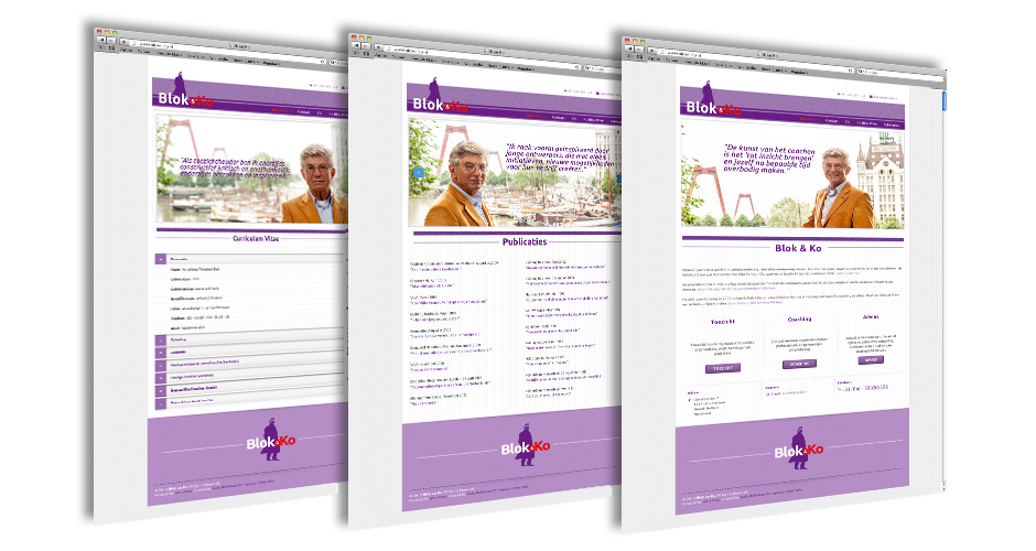 alt="Website vormgeving voorbeeld"