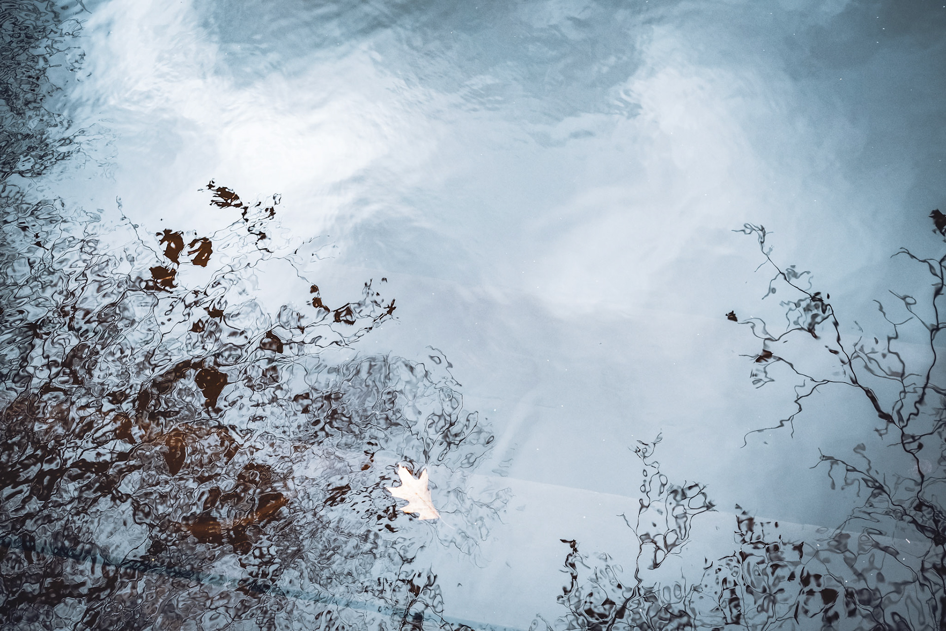 'Steps" first appeared online in the PhotoED Magazine Fall 2023 Digital Issue in August 2023.