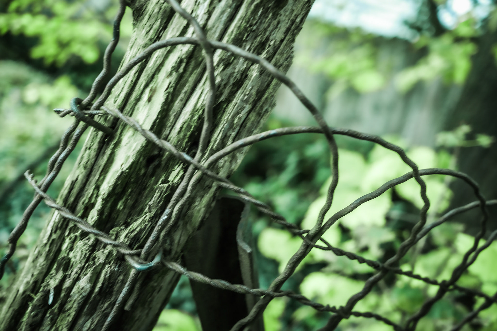 Branched