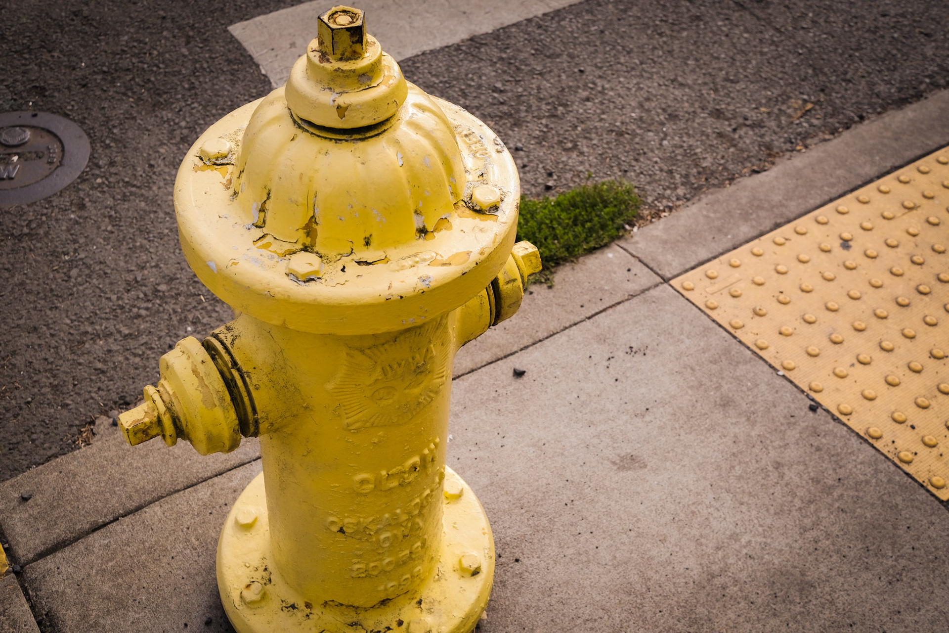 'Extension' first appeared online in the Yellow 2021 group exhibition at Grey Cube Gallery.