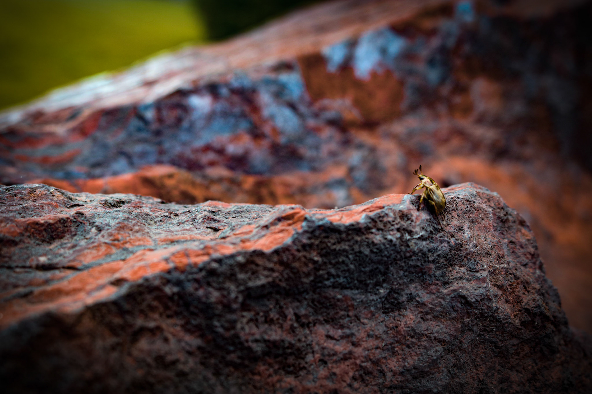 'Climb' first appeared online with the Tiny Seed Literary Journal on December 25th, 2020.