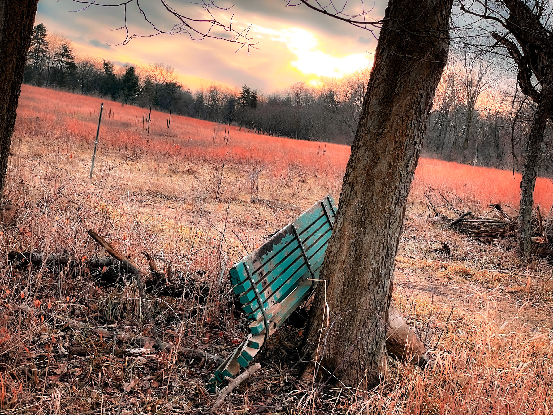 'Resting' first appeared online in the Landscape 2022 group exhibition at J. Mane Gallery.