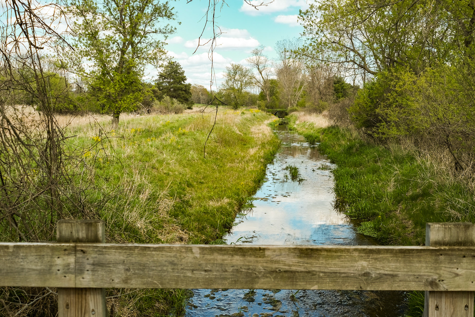 'Trouble' first appeared online in the Landscape 2023 group exhibition at J. Mane Gallery.