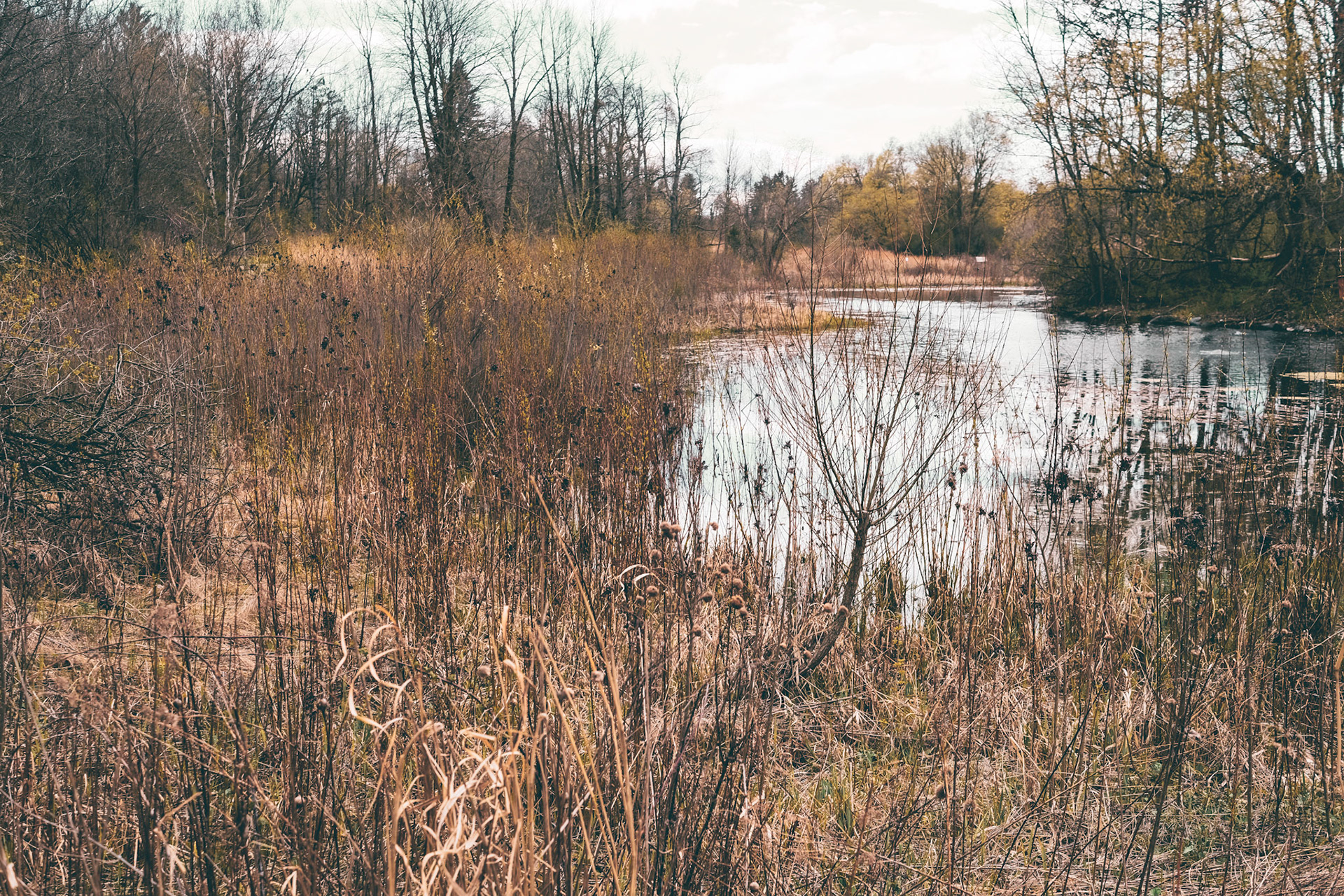 'Tangle' first appeared online in the Landscape 2023 group exhibition at J. Mane Gallery.