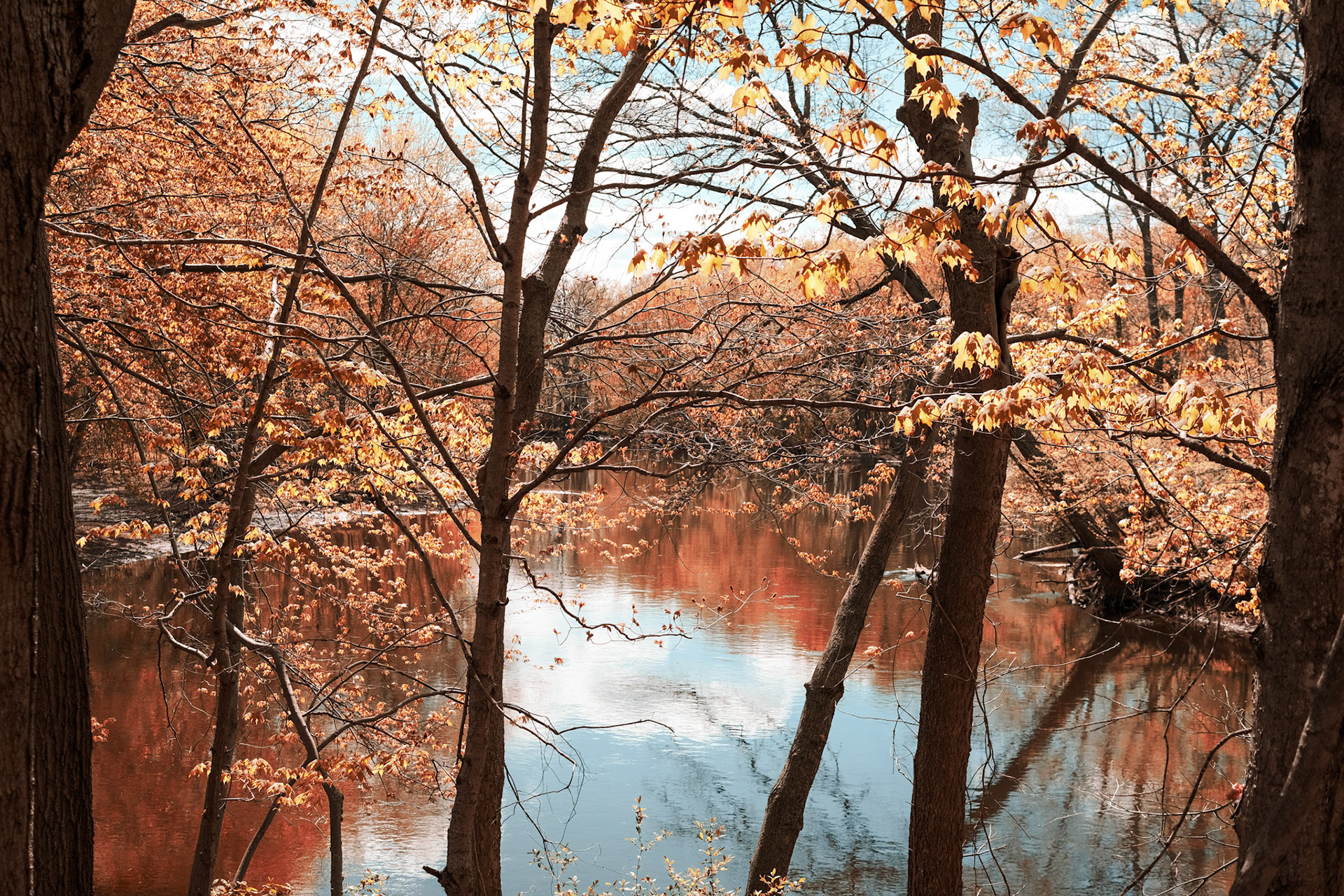 'Outlook' first appeared in the Great Northern Art Explosion at the AuSable Artisan Village in Grayling, MI in August 2022