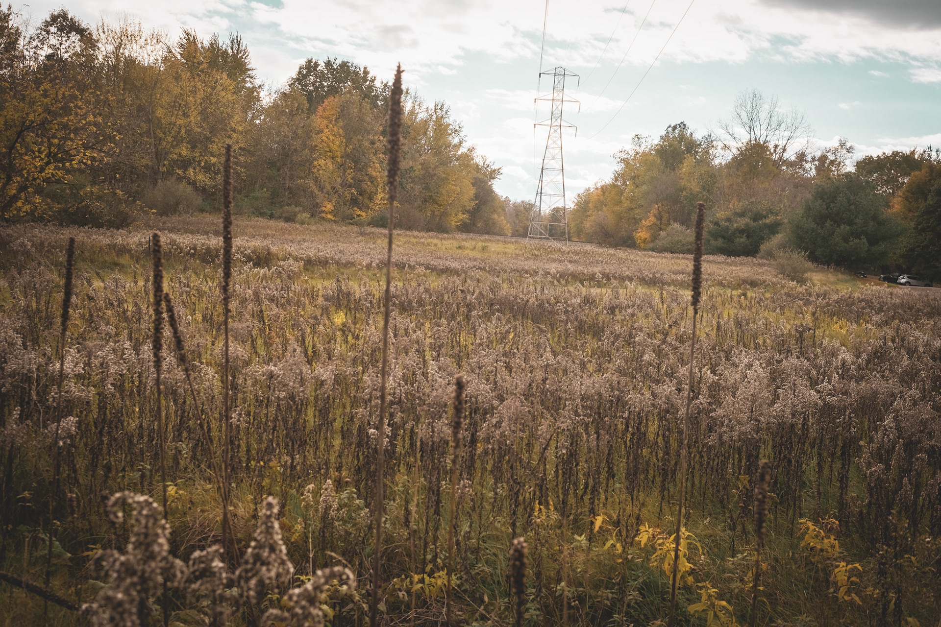 'Vertical' first appeared online in the Landscape 2022 group exhibition at J. Mane Gallery.