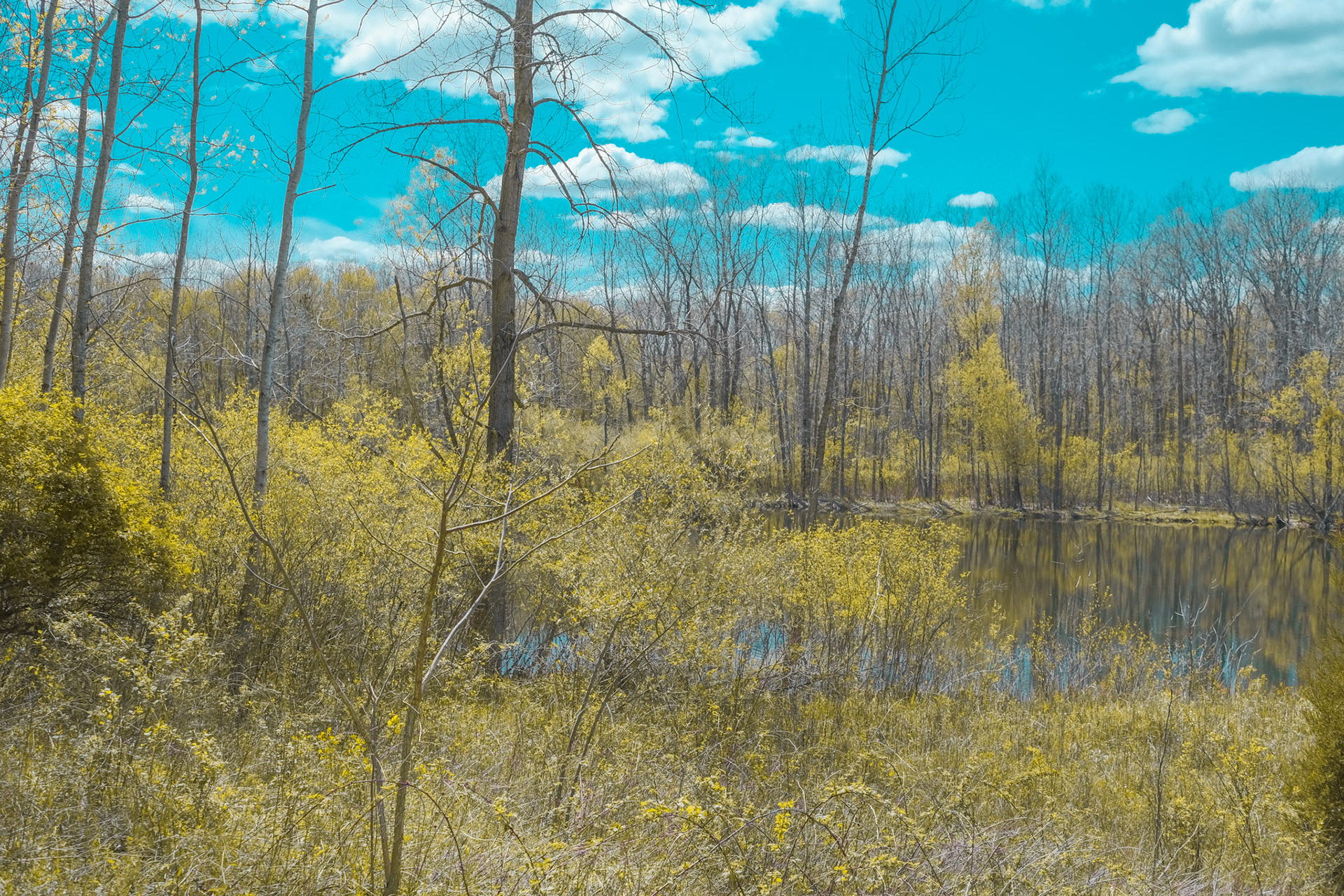 'Big' first appeared online in the Landscape 2023 group exhibition at J. Mane Gallery.