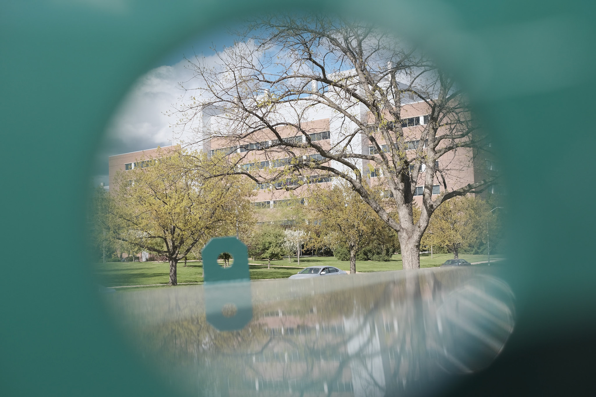 'Leafless #5' first appeared online in 'In Parentheses' 7.1 in July 2021.