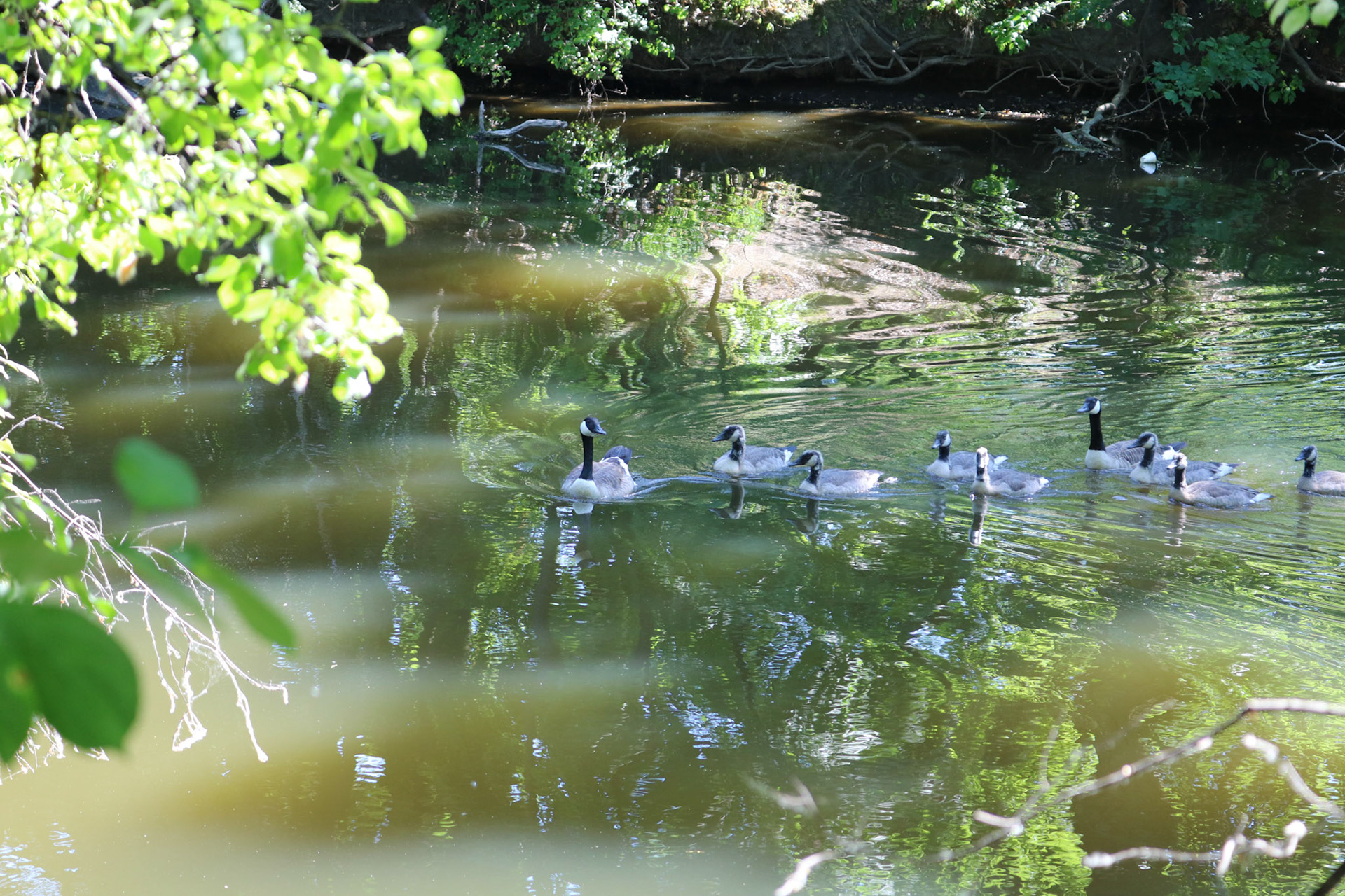 'Campus Tour' first appeared online in the Open 2021 group exhibition at J. Mane Gallery.