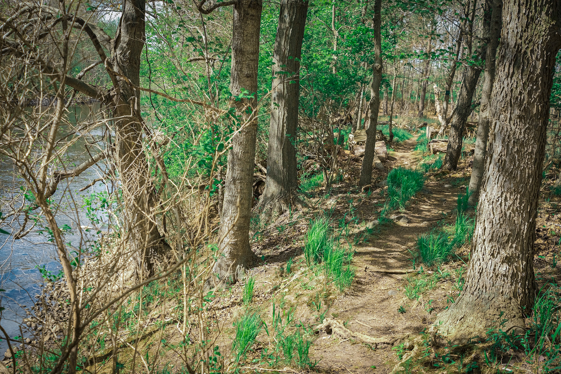 'Through' first appeared online in the Landscape 2023 group exhibition at J. Mane Gallery.