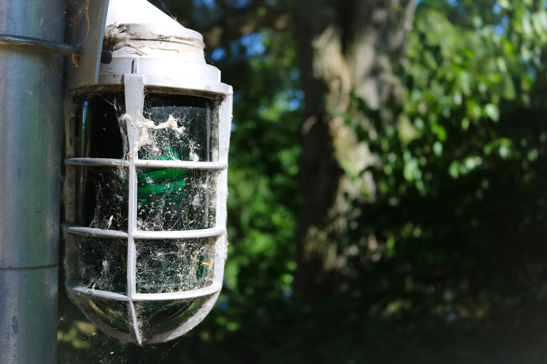 'Help Right' first appeared online in 'In Parentheses' 7.1 in July 2021.