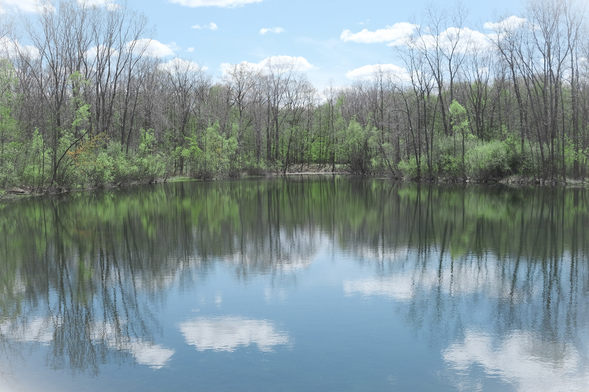 'Mirror' first appeared online in the 7th Annual Waterscapes Art Exhibition at Fusion Art in March 2022.