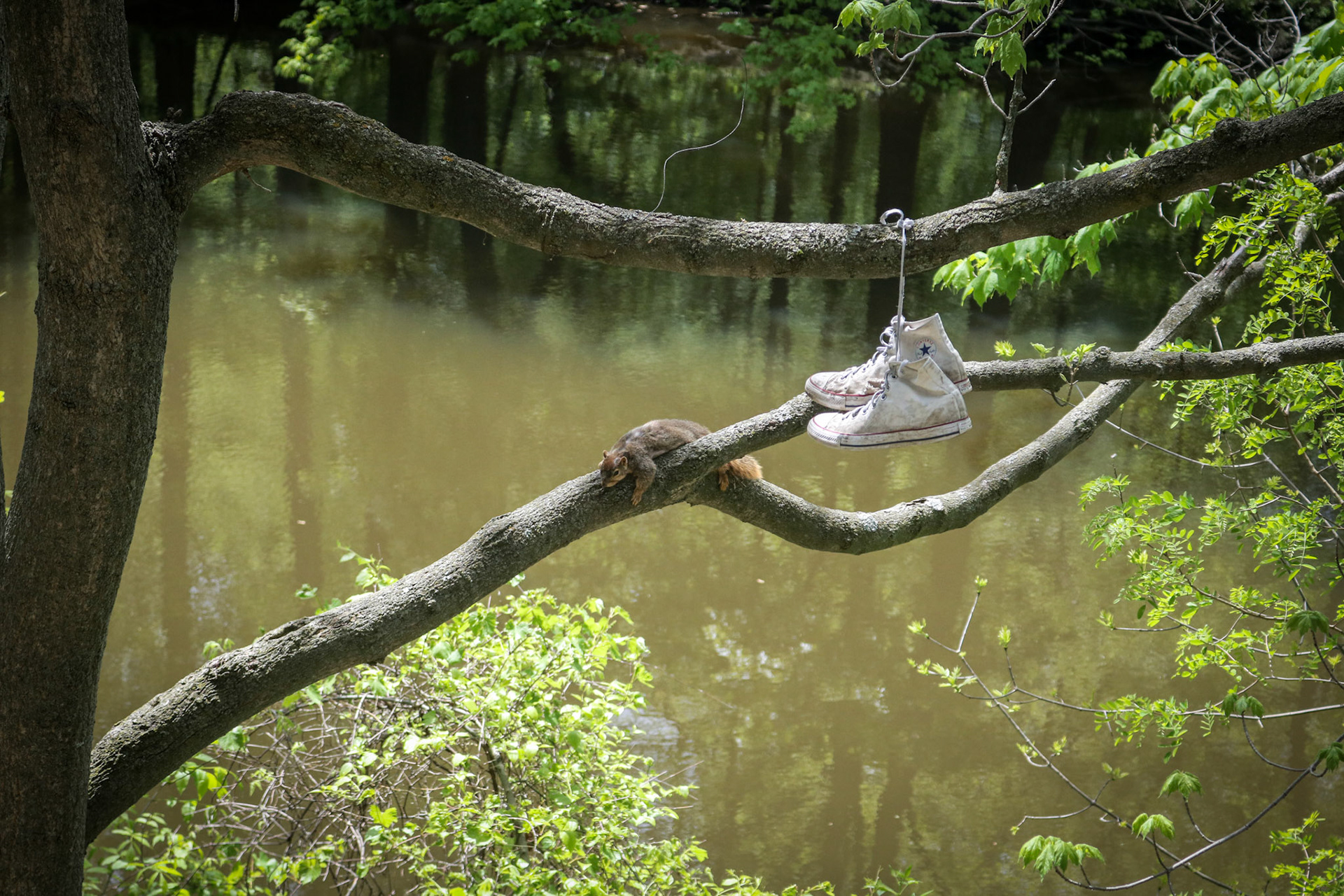 'Frat Party' first appeared online in the Open 2021 group exhibition at J. Mane Gallery.