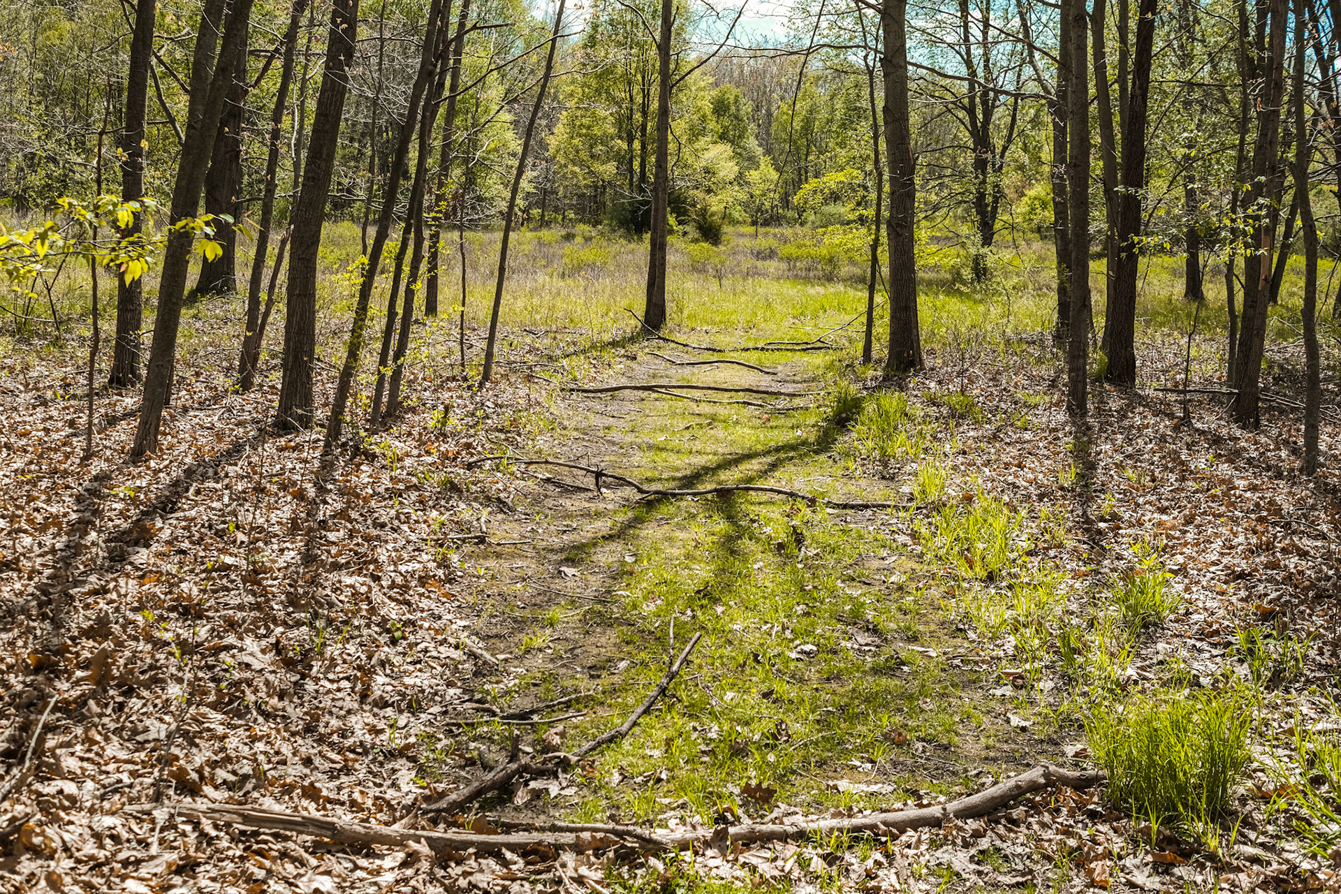 'Past' first appeared online in the Landscape 2023 group exhibition at J. Mane Gallery.