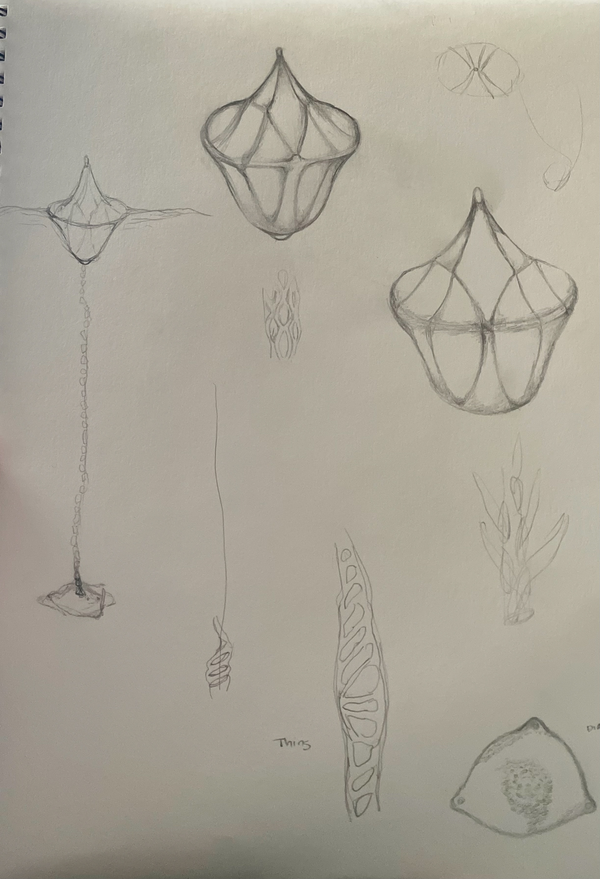 Initial Sketches