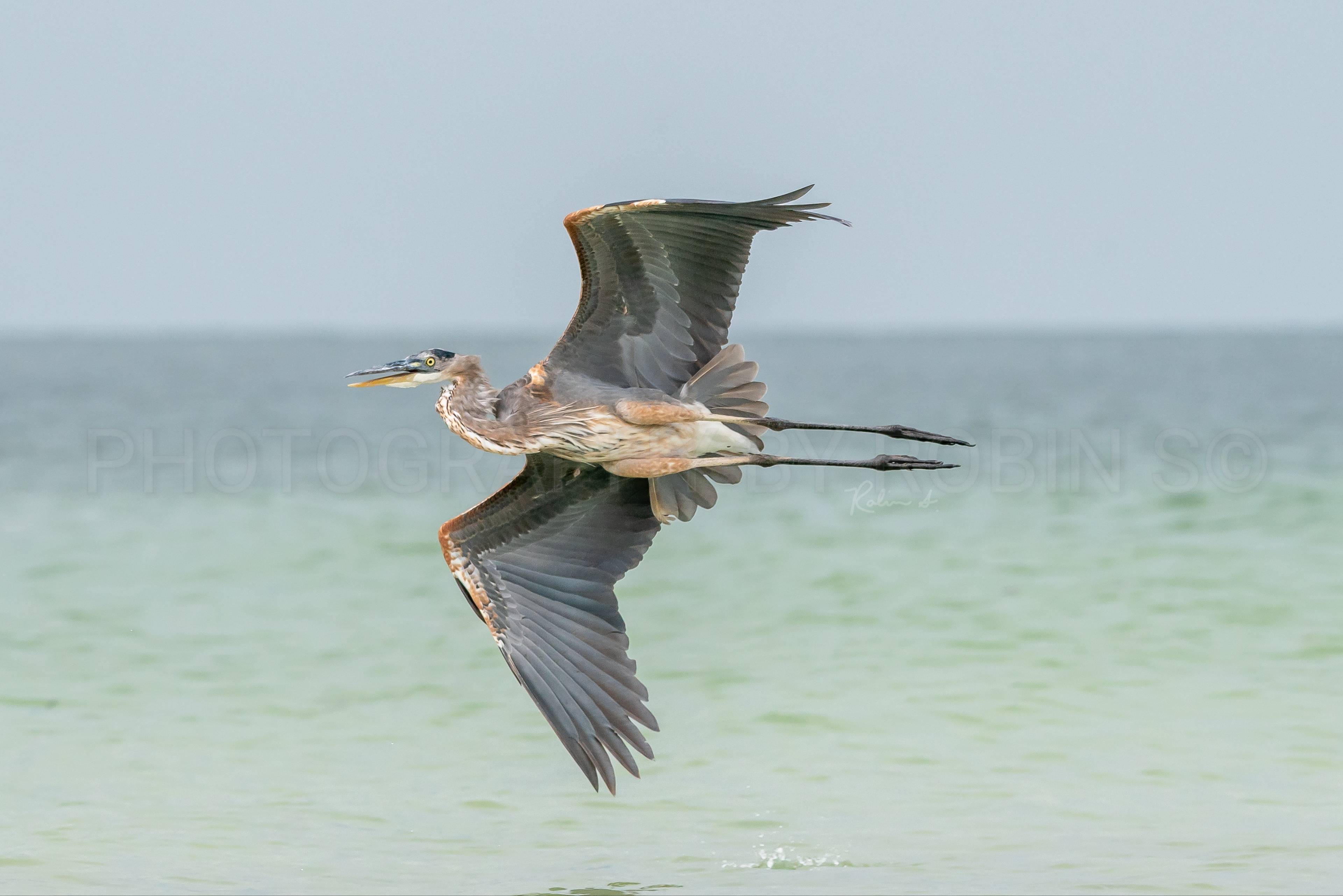 00053-GBH Flight Over Gulf