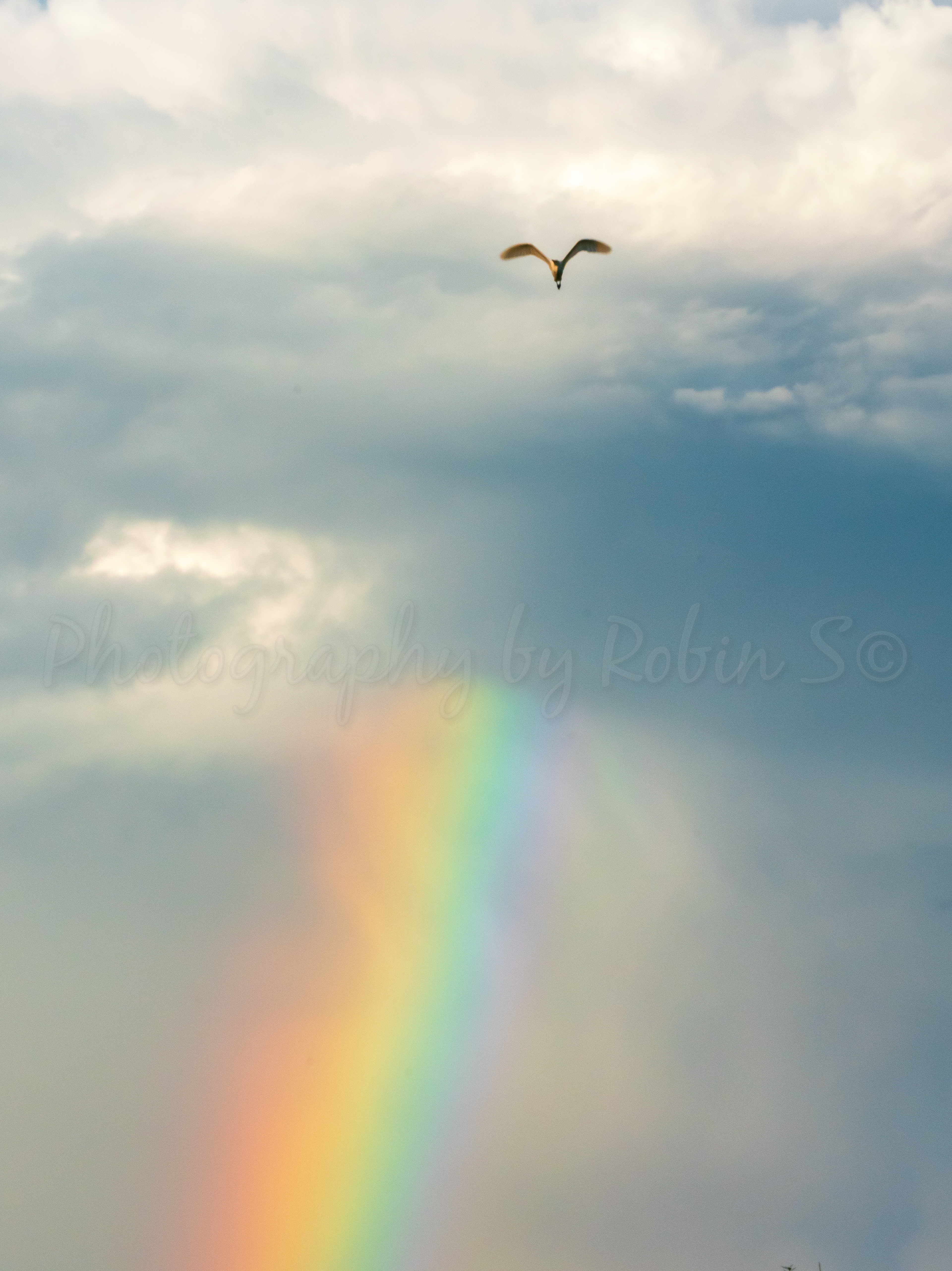 00050 - After The Rain