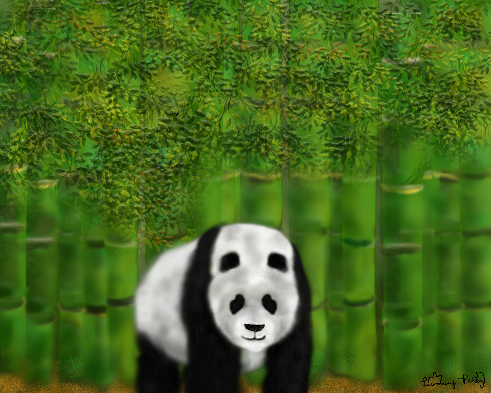 Panda