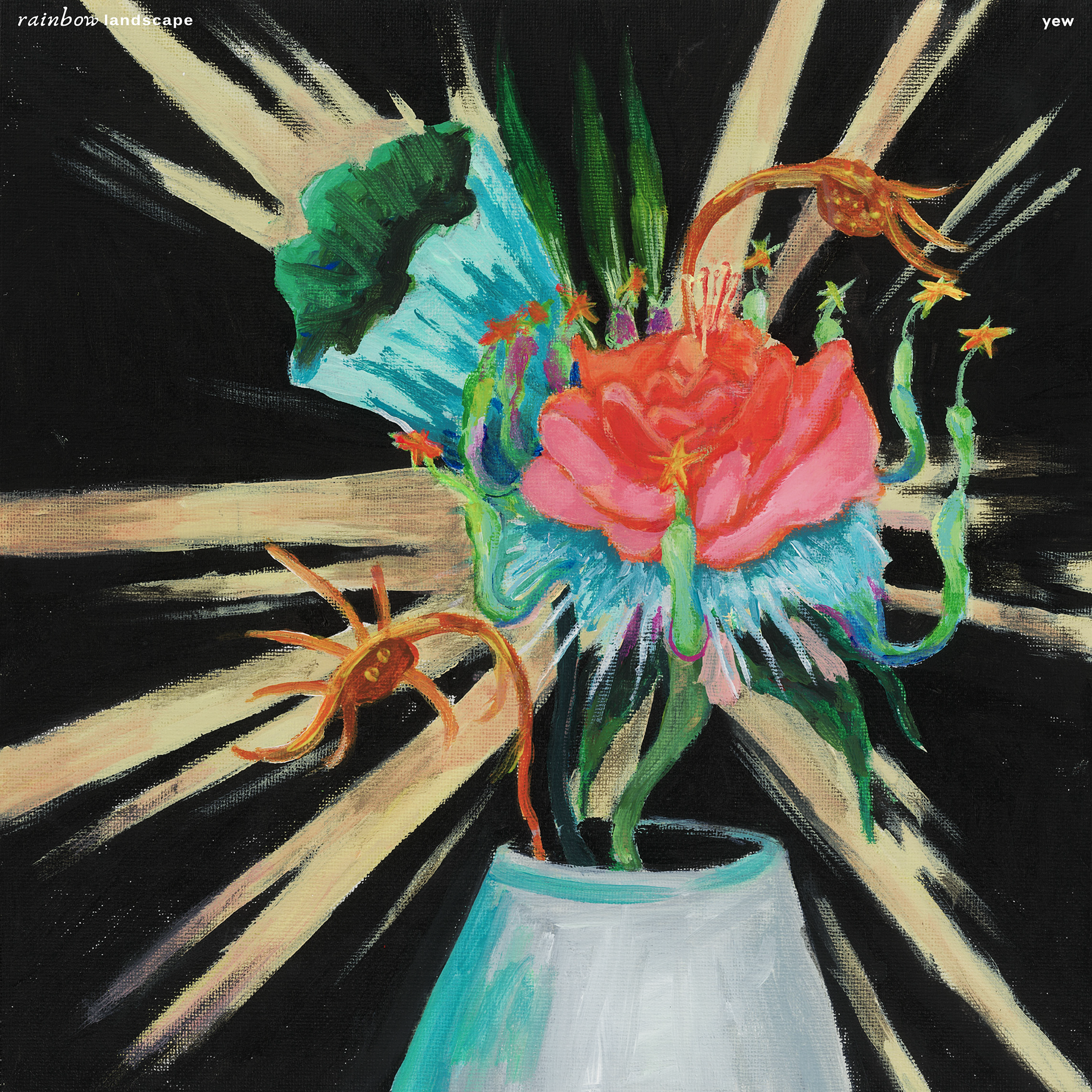 ตาข่ายดักฝัน (Rainbow Catcher)