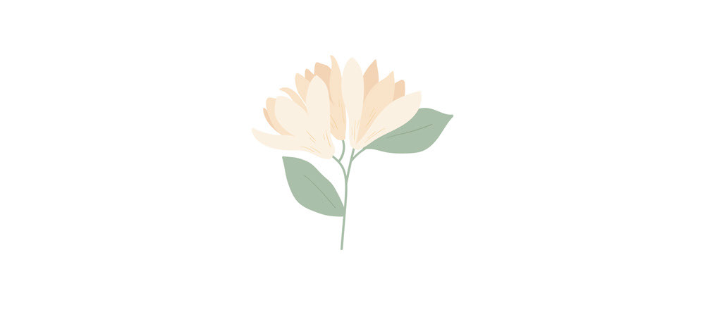 玉蘭花插畫