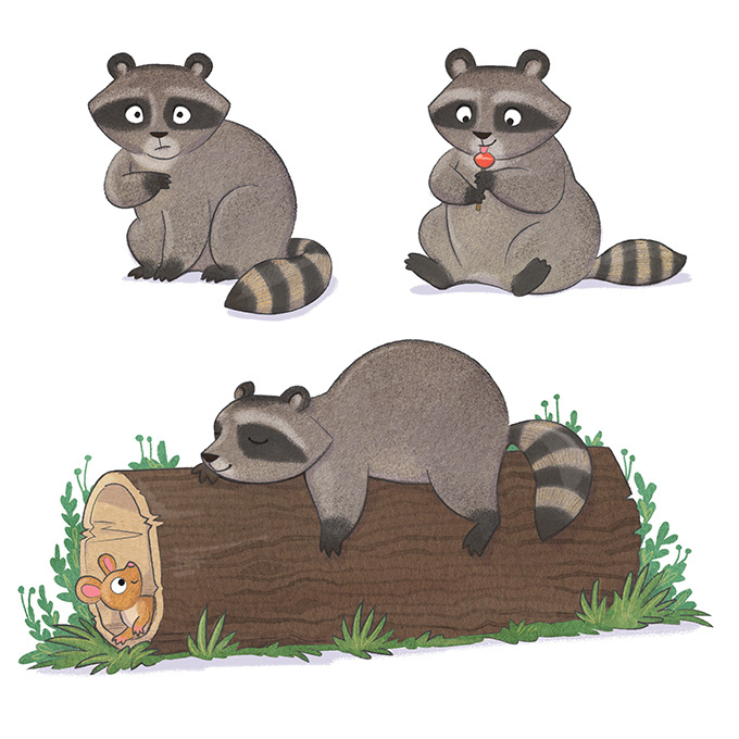 Raccoon character designs for Chris H