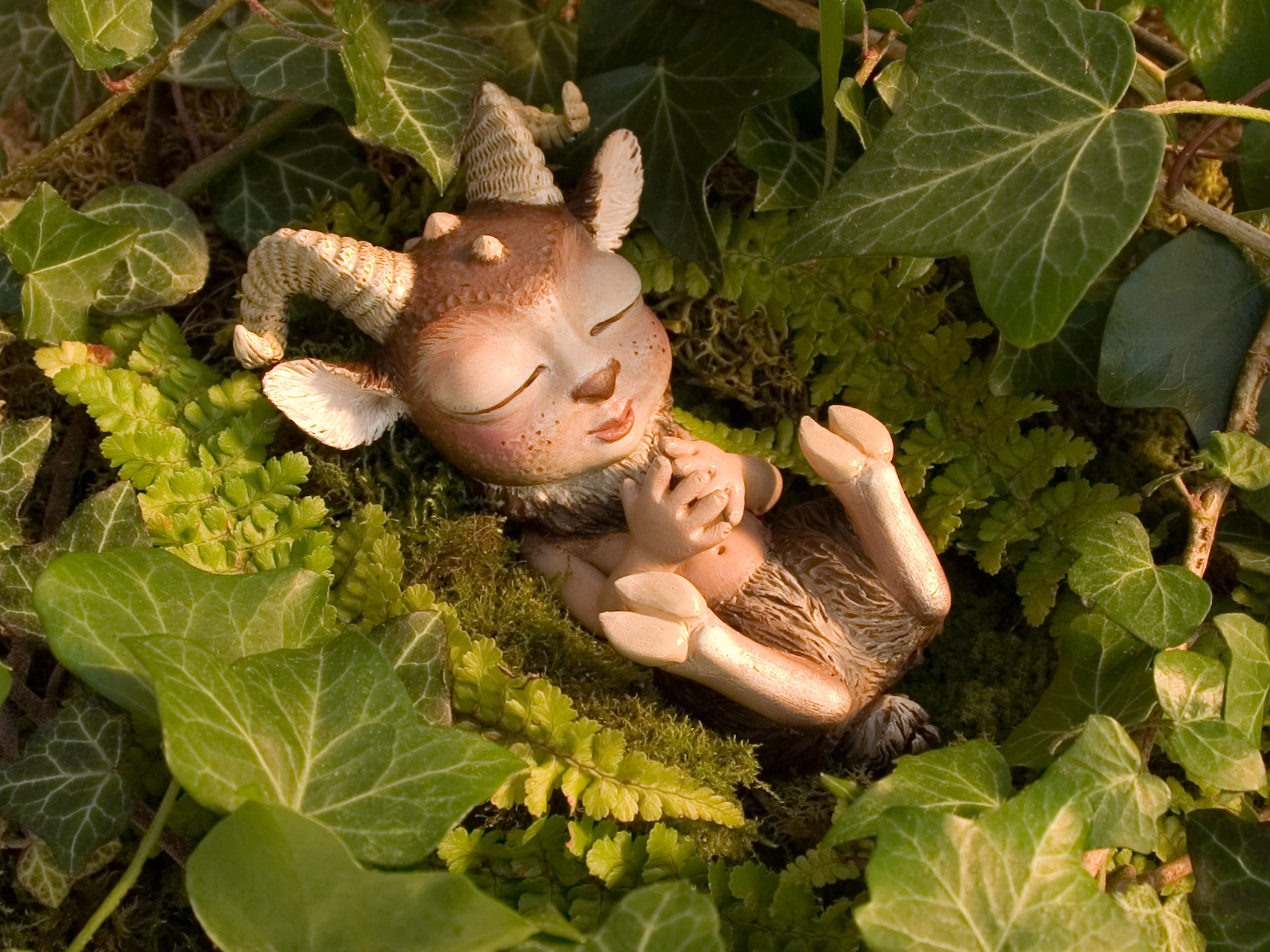 Fawn- Sleeping Myths