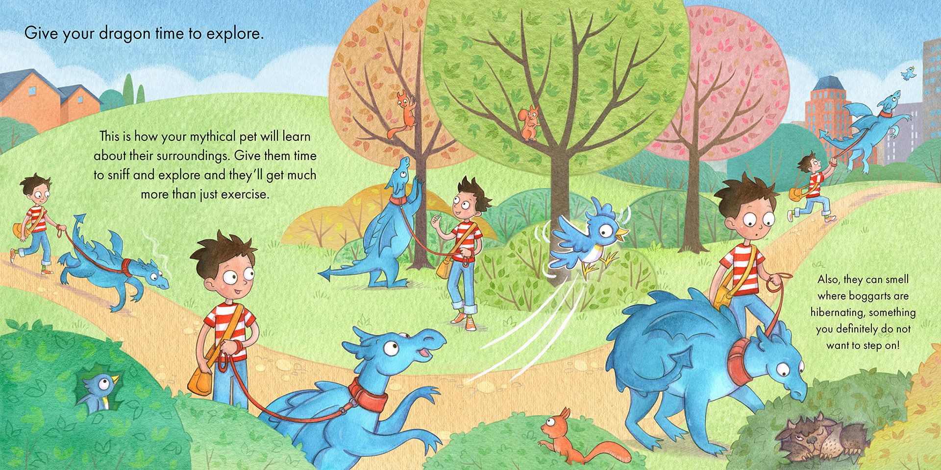 '10 Things to Remember when Walking your Dragon'- picture book