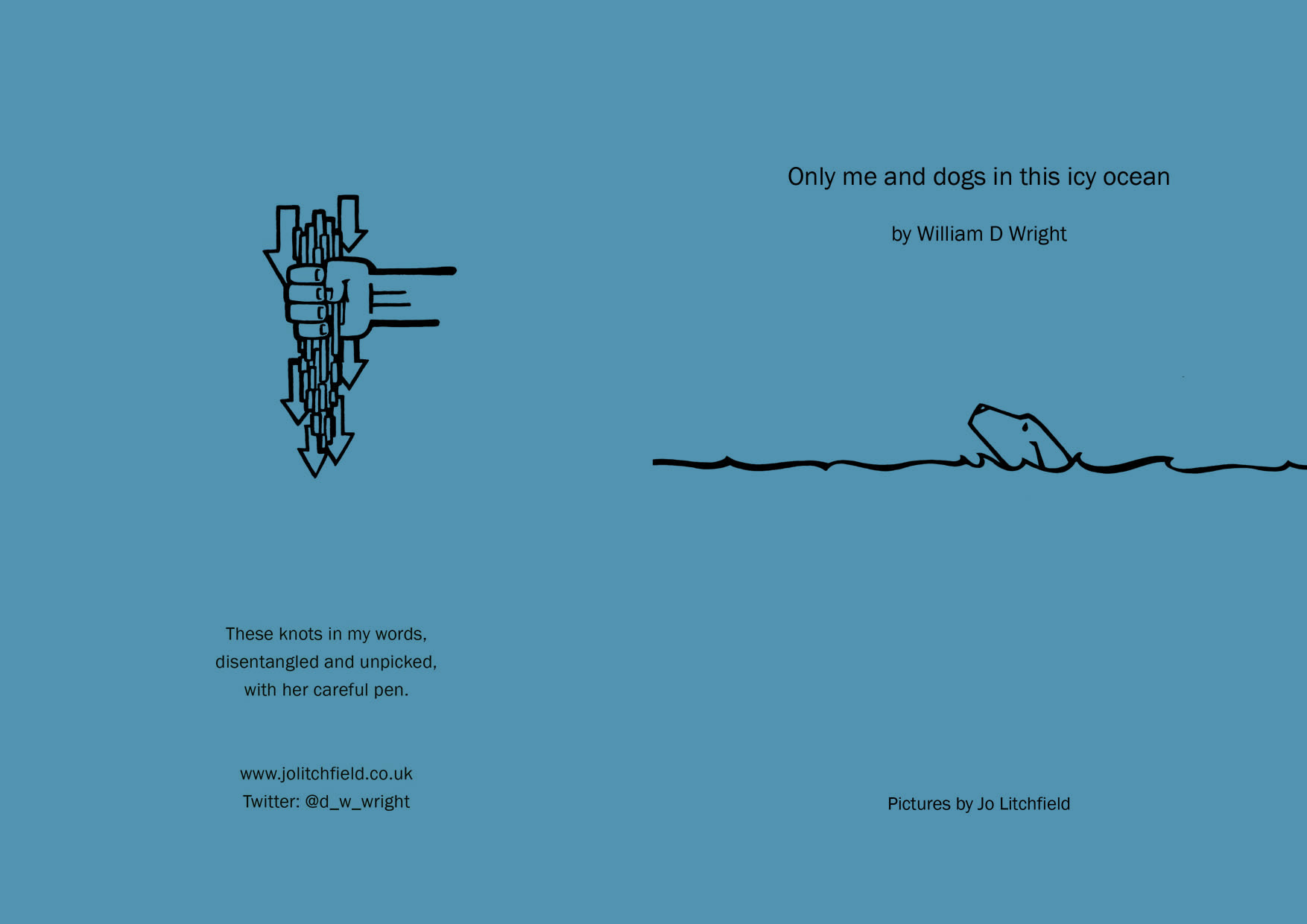 A book of poetry with more adult themes