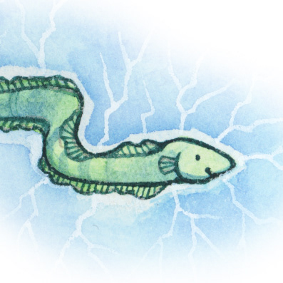 Close-up from the Bedtime Boat: available