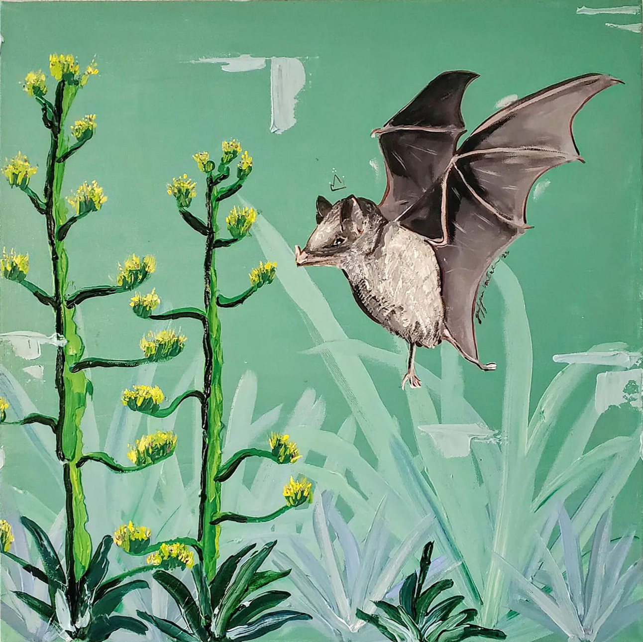 Agave Bat