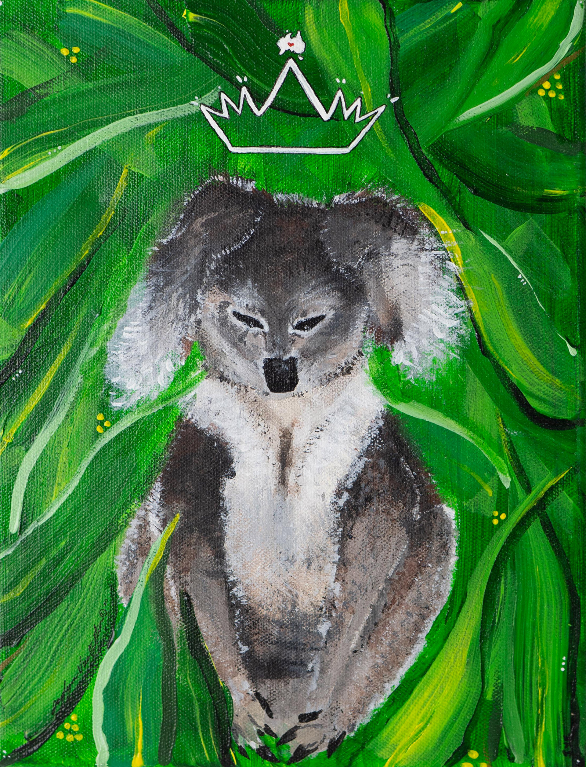 Koala for 2019 Bush Fire