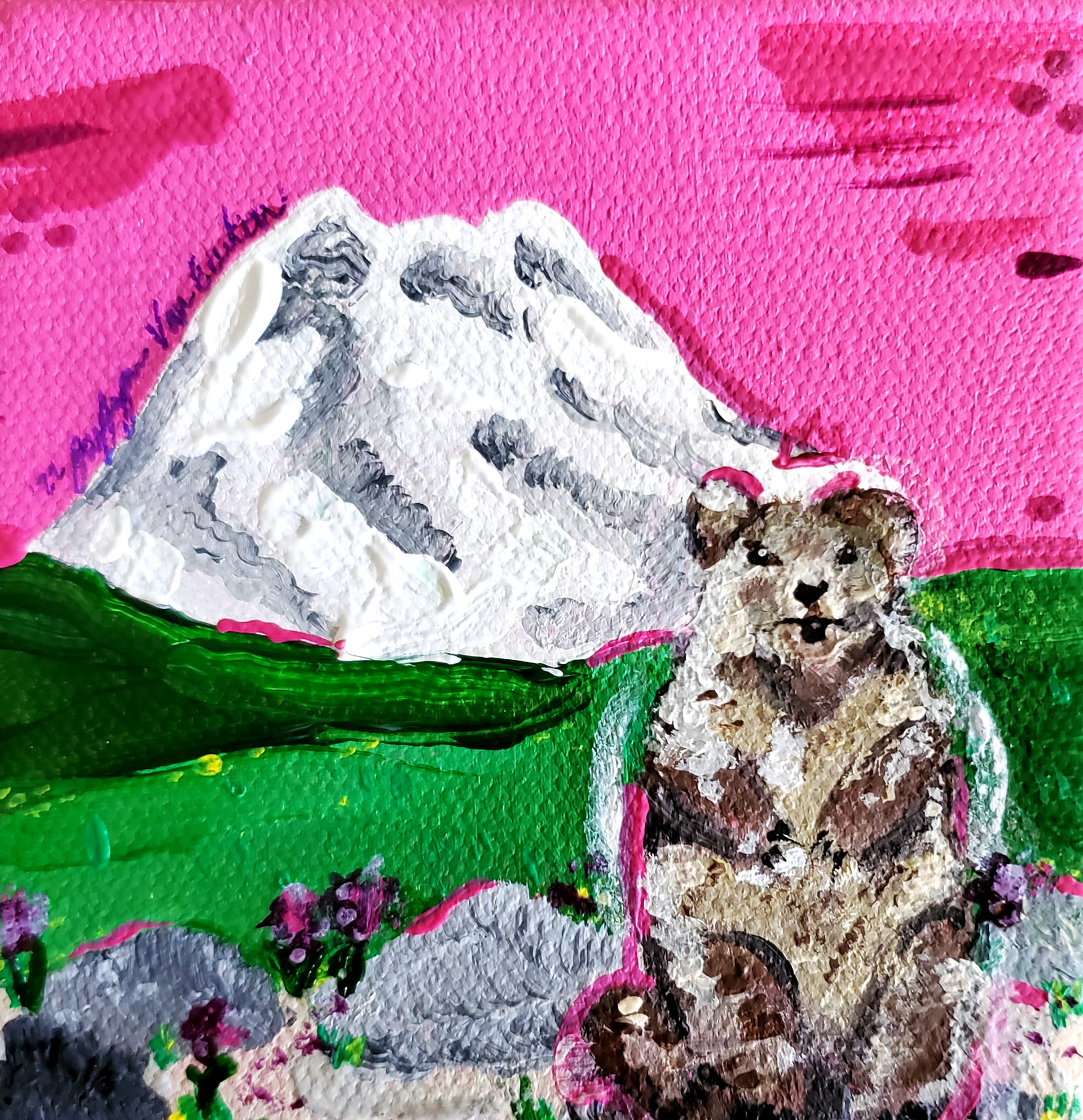 Bubblegum Marmot