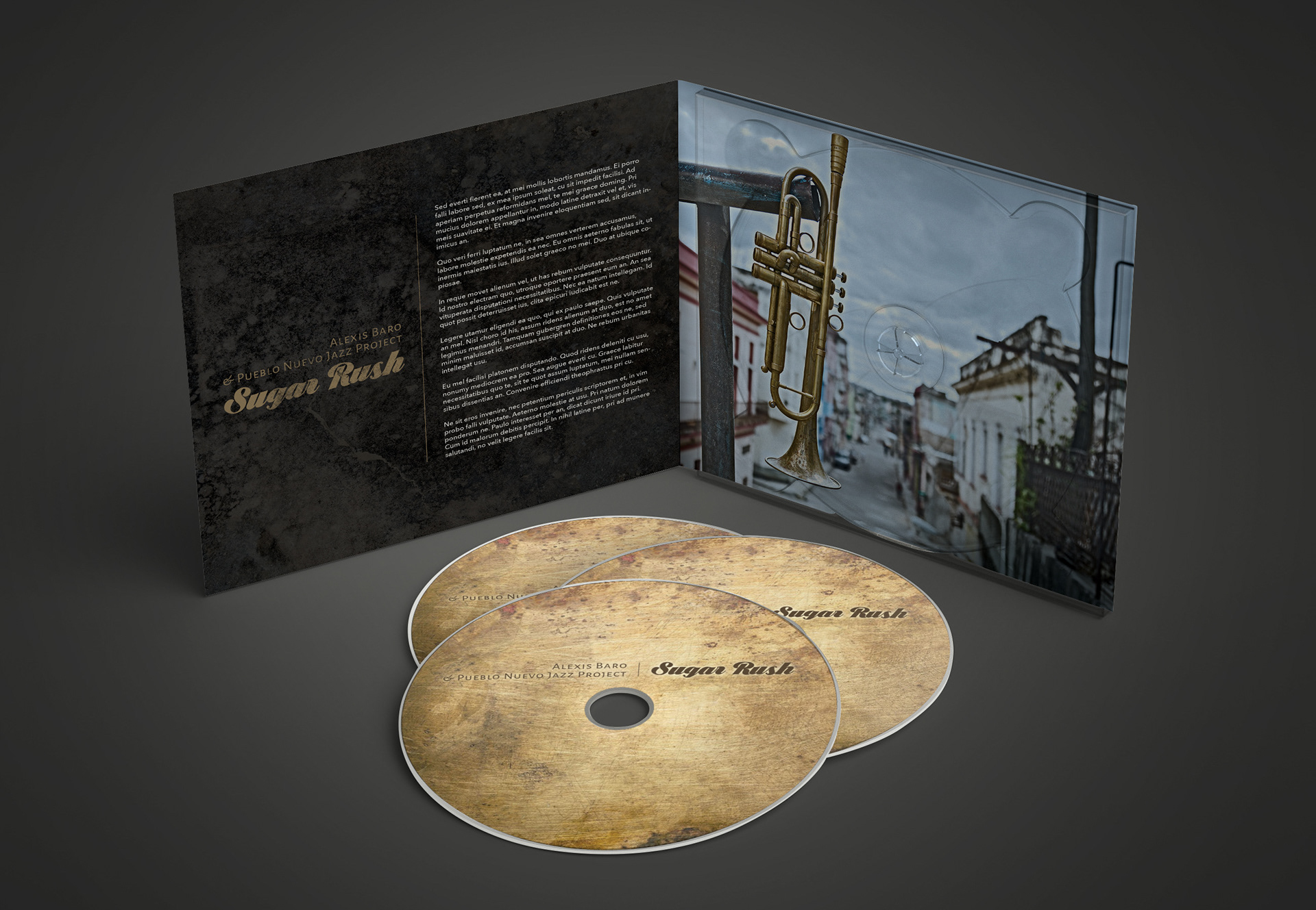 Entertainment Photography (Albums Covers / Artist Books / Live Concerts / Dance Shows)