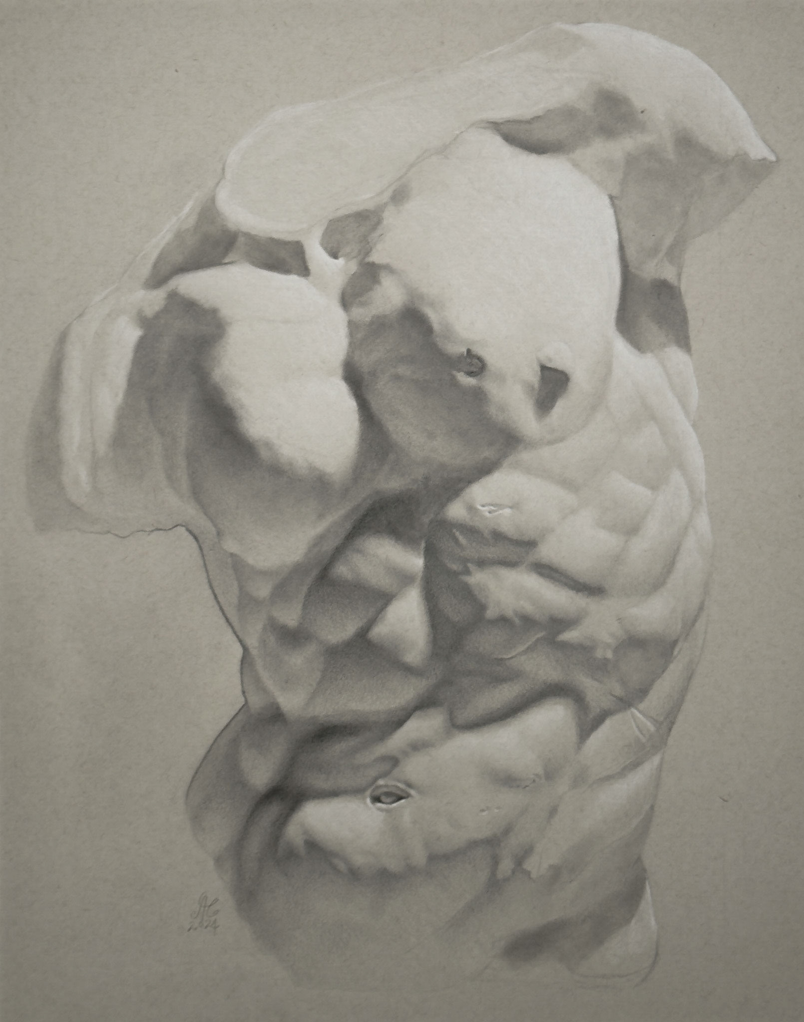Gaddi Torso Study, 2024. "18x24" Pencil and white pastel on toned archival paper