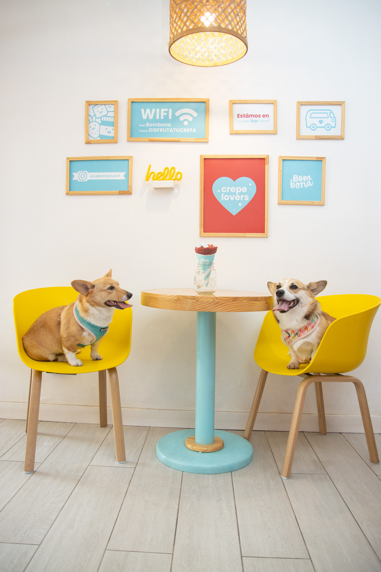 Foto + Casting: Light Essence Audiovisual - Marca: Flamingo Dog Wear.